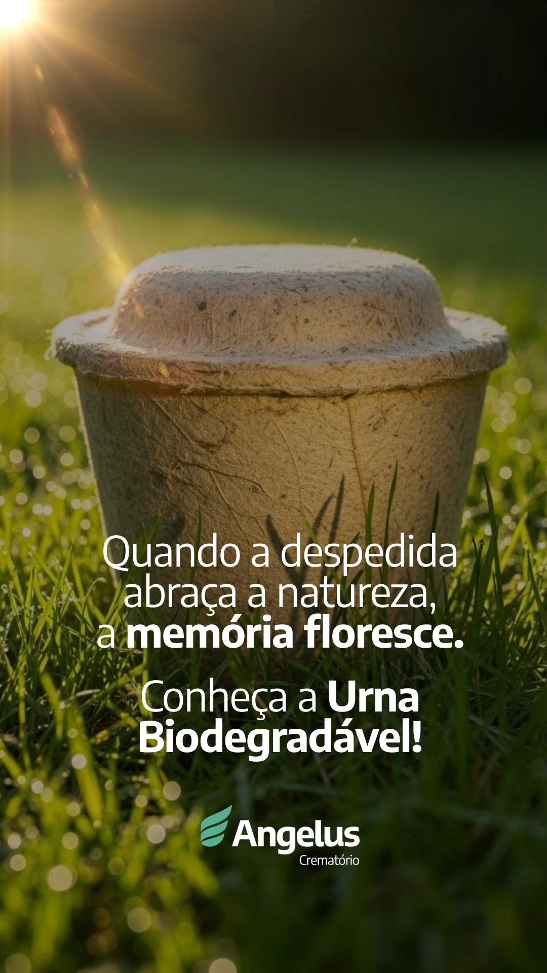 A urna biodegradável é uma forma mais leve e consciente de transformar a despedida em um gesto de cuidado com o planeta. ♻️
Feita com materiais que se decompõem naturalmente, ela não agride o solo, não deixa resíduos e permite que as cinzas retornem ao ciclo da natureza de maneira sustentável e simbólica!
É uma escolha que une amor, memória e respeito, tanto com quem partiu quanto com o futuro do meio ambiente.
Quer saber mais sobre os modelos de urnas? Fale com a gente!
📱0800 006 6688
👉angelussul.com.br
#Angelus #UrnaBiodegradável #Cremação