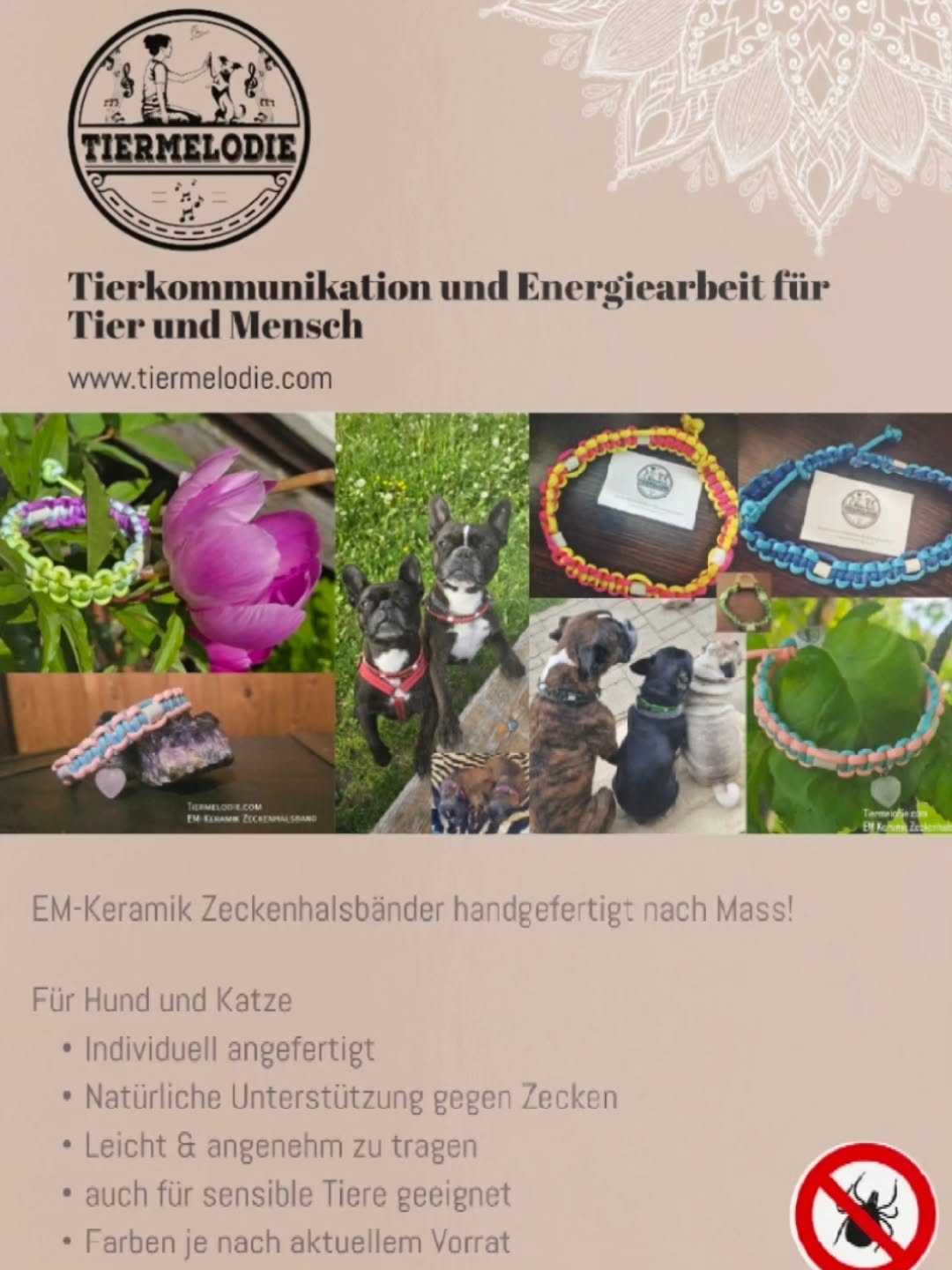 Weitere Infos unter:
https://www.tiermelodie.com
Was ist EM-Keramik?
EM-Keramik besteht aus Ton, in dem Effektive Mikroorganismen (EM) während des Brennprozesses gespeichert werden.
Diese Mikroorganismen erzeugen eine harmonisierende Resonanz, die sich positiv auf das Haut- und Fellmilieu auswirken kann.
Dadurch entsteht ein Umfeld, das Zecken weniger attraktiv finden.