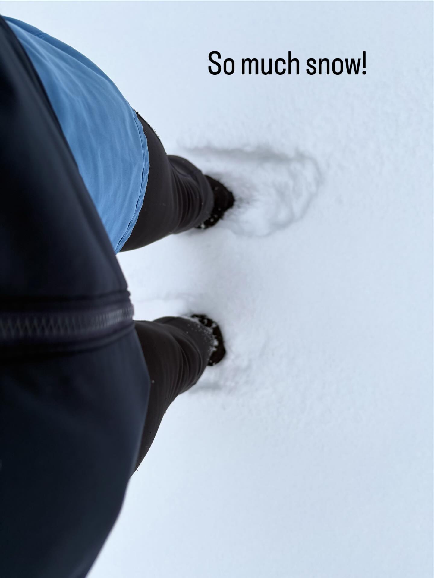 That was a tough run today in West Bragg. There was about 20 cm of snow on top of ice but all good fun - happy trails.#hardworkpaysoff
#training
#ultraruncoach
#enduranceruncoach
#runhappy
#mountainrunning