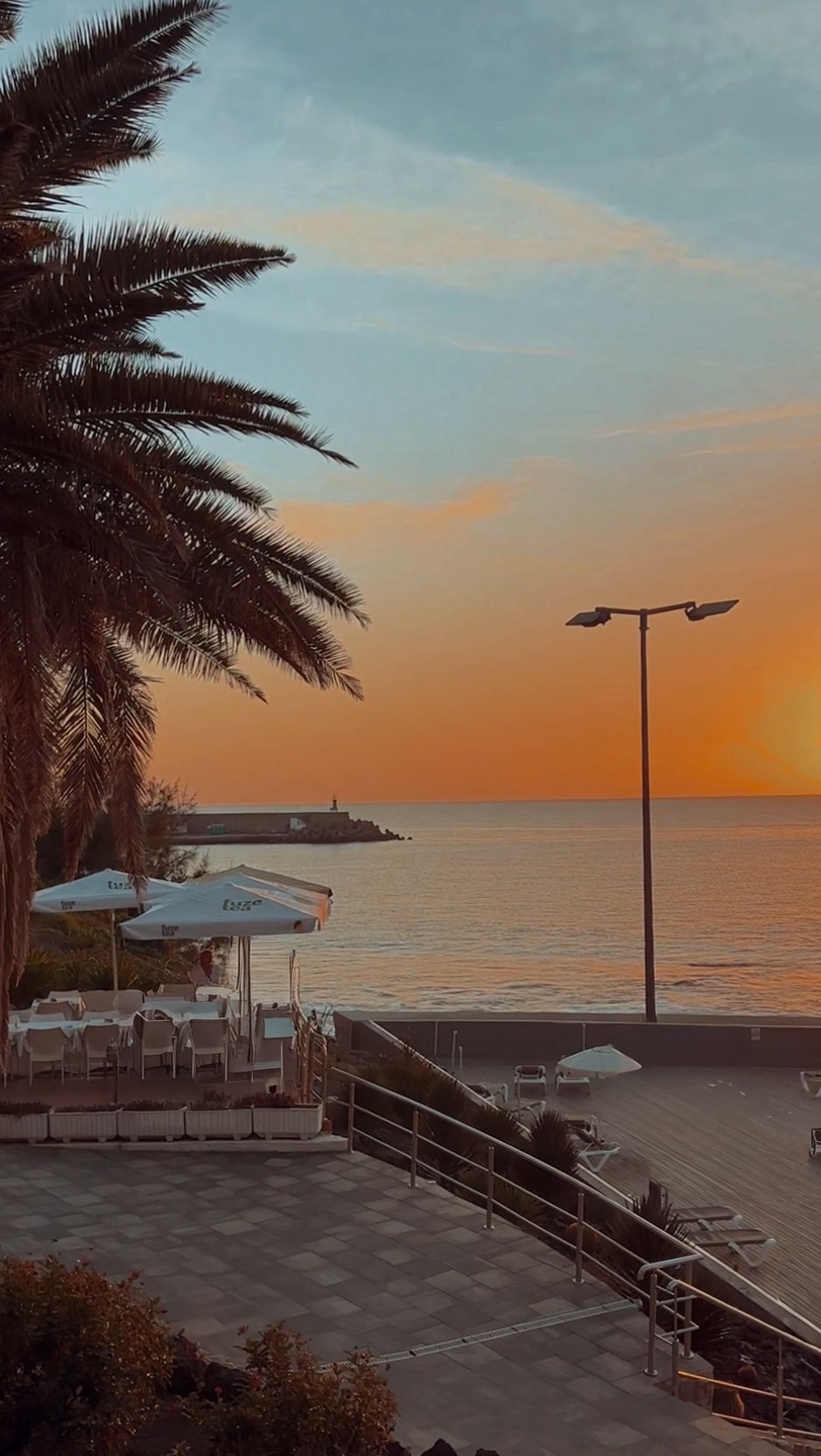 As a Sagittarius, this New Moon feels deeply personal.🌑☾
Under the Sagittarius New Moon, I slow down and listen to myself.
This is my moment to reset, to realign, and to plant new intentions rooted in truth and freedom.
I release what no longer feels right.
I trust my inner voice.
I allow myself to dream bigger — without fear, without limits.
This New Moon reminds me that growth begins with honesty and courage.
I choose expansion, clarity, and a path that feels true to who I am becoming.
New intentions.
New direction.
A new beginning.
My month, my time 🏹