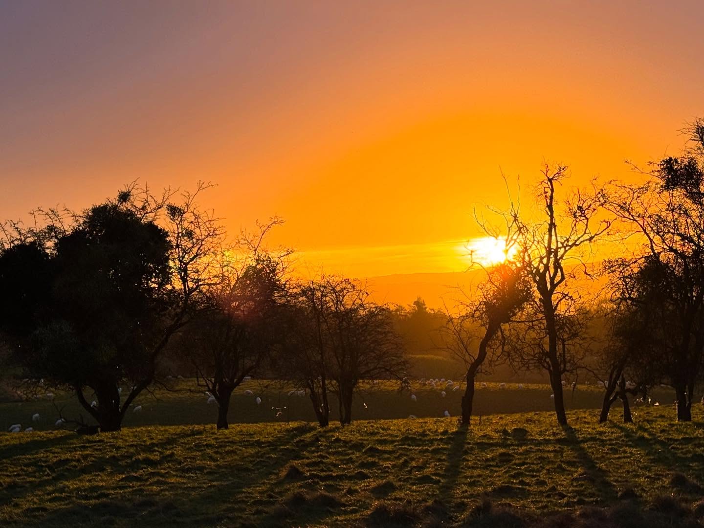 Well we enjoyed the 30 minutes of brilliant sunlight (and rainbows) this morning before the gloomy, greyness returned! #blinkandyoumissit