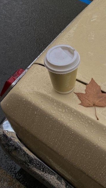 Mode cocooning activé 🍁🫧
La saison est définitivement lancée 🍂