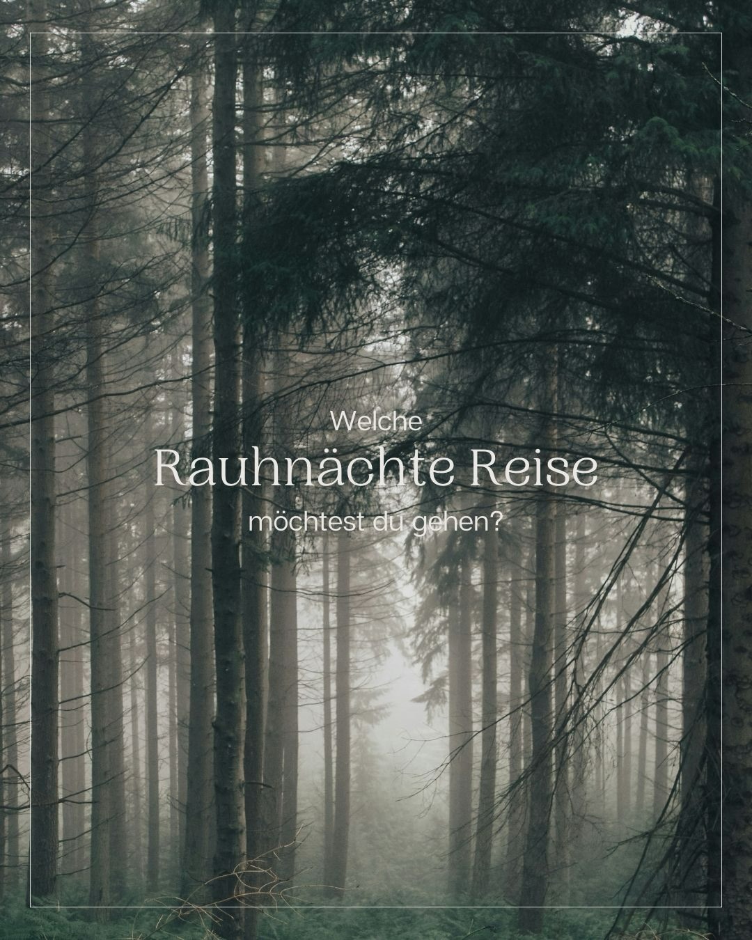 Entdecke meine drei Rauhnächte-Pakete – für eine Reise, die so tief, sanft oder geführt sein darf, wie es für dich stimmig ist.
Ob nur mit Workbook, mit Live Kick-Off & Audios oder mit einer individuell kuratierten Ritualbox: du wählst den Weg, der dich am besten in dein neues Jahr begleitet.
✨ Anmeldung geöffnet – Link in Bio.