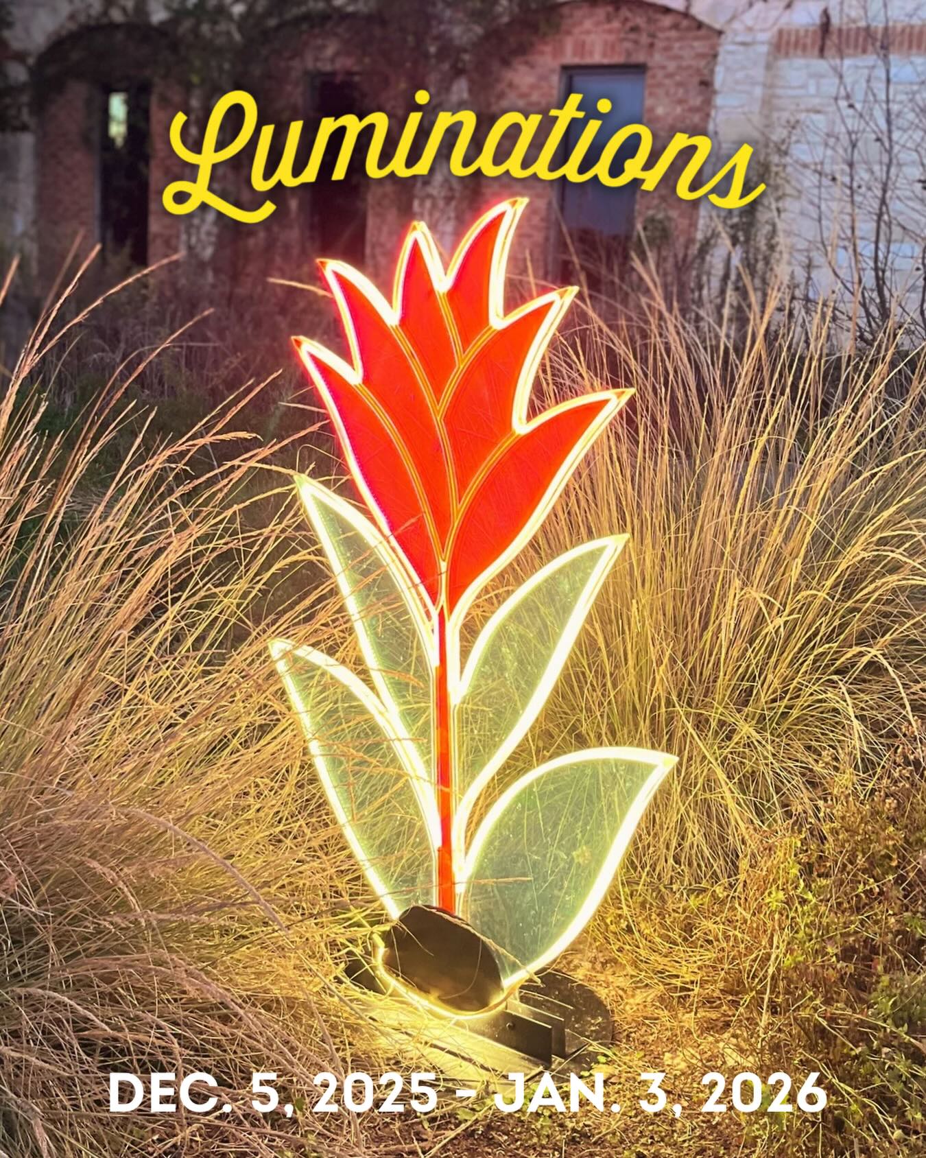 The Bloominations are shining bright, welcoming, and a little bit magical at the @wildflowercenter Wildflower Center this season. A lovely winter outing for Austin families. Come enjoy them all with us month long!