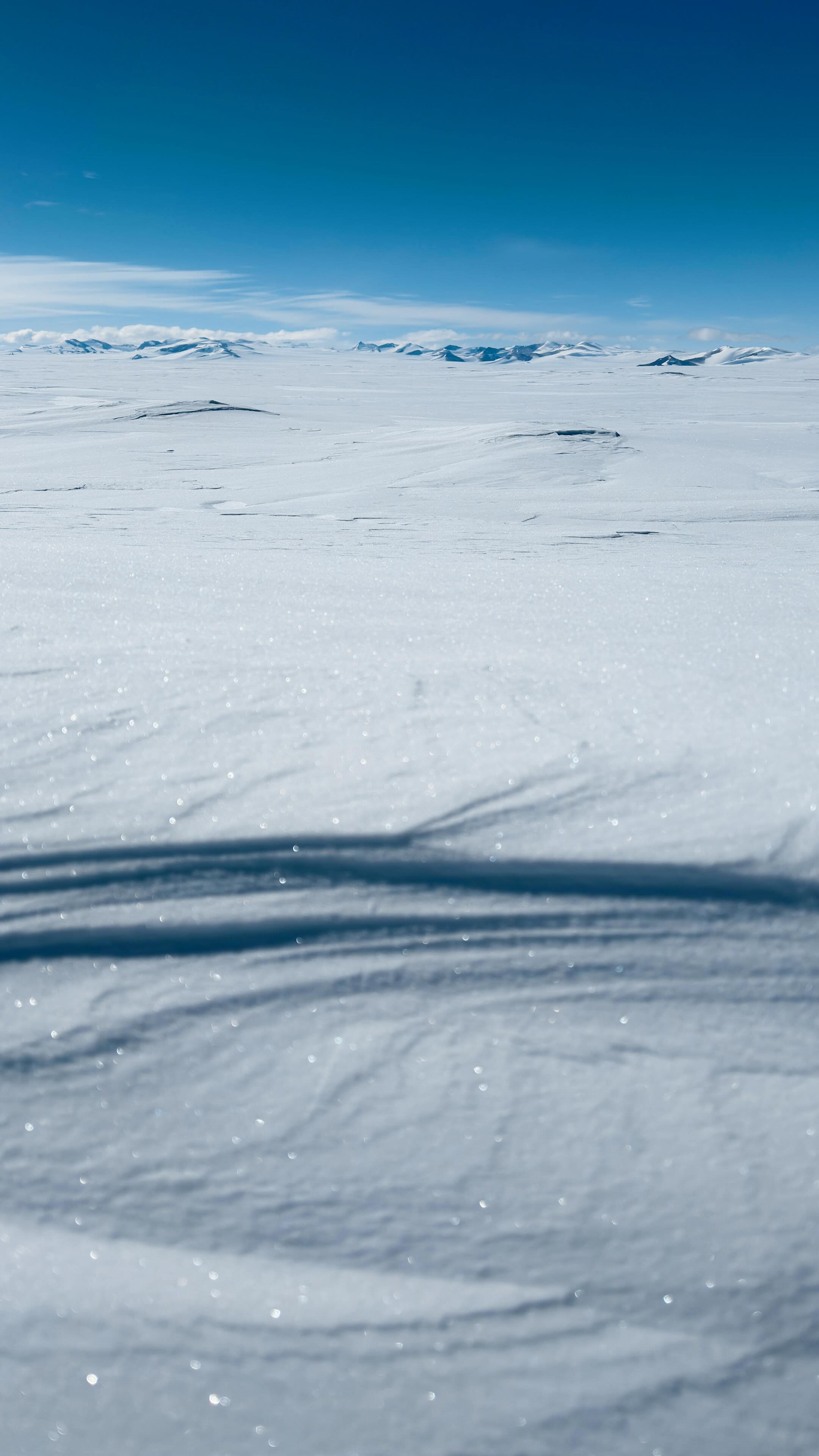 🇦🇶 Ici, c’est l’Antarctique qui décide 👀
⛷️🪁 Pour cette expédition de 4000 km à travers le continent blanc, nous avançons en kite-ski et tractons nos pulkas qui contiennent notre matériel et équipement scientifique.
🌬️ Avec le vent comme énergie, nous pouvons parcourir jusqu’à 100 km par jour lorsque les conditions sont favorables…
❌ Mais pour ces premiers jours d’aventure, ce n’est pas vraiment le cas.
🏔️ Nous devons atteindre les hauts plateaux à 3000 m d’altitude, et il nous reste encore 150 km avant d’y parvenir.
📏 L’aventure ne fait que commencer — et chaque mètre compte.
📡 Très bientôt, nous pourrons déployer nos radars et lancer notre programme scientifique.
🖥️ Suivez notre trace GPS en direct sur le site de l’expédition Under Antarctica (lien en bio)
🛰️ On continue de vous envoyer des nouvelles tous les jours !
🔔 Abonne-toi pour vivre l’expédition Under Antarctica en direct !
#UnderAntarctica #Antarctique #Science #Aventure #Expedition