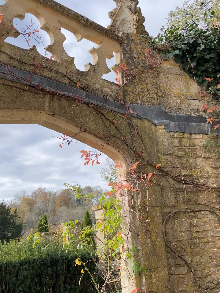 November recap:
Mostly the muddle of being between two places, but featuring lots of gorgeous ☀️ and 🐕
Let your highlights take up space in your thoughts, it’s the same as making a gratitude list. There is always light ⚡️⚡️⚡️
#bath #falmouth #cornwall #november #gratitudepractice #reflect #digitaljournal