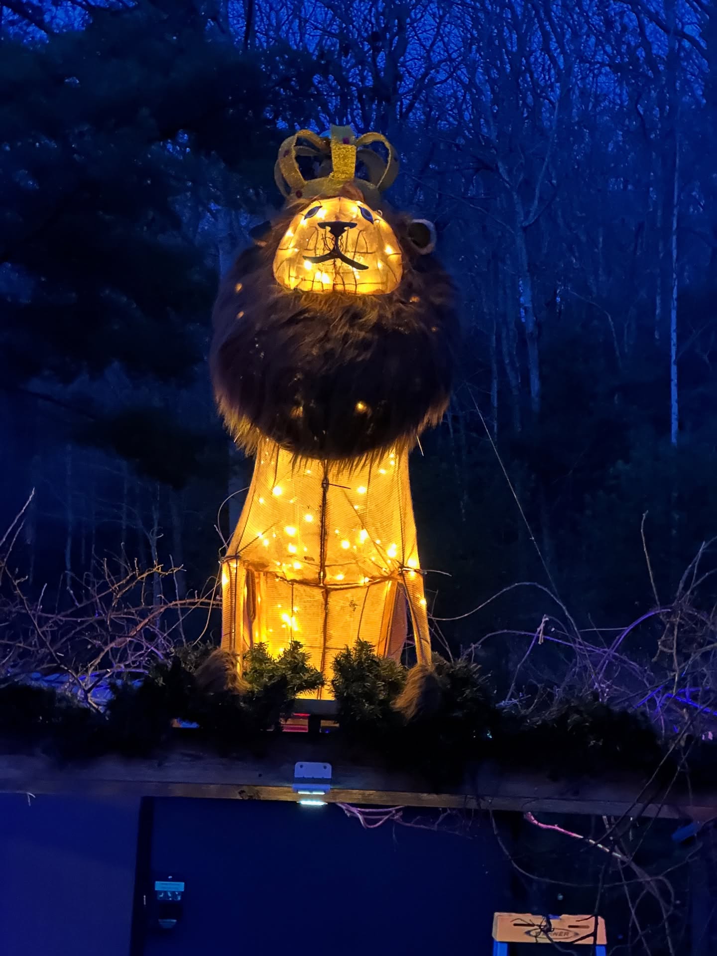 Working on the “Island of Misfit Toys.” Also, our ideas are taking much longer than we anticipated because I’m easily distracted by dressing Bubbles in winter hats and bows😆🫶💖