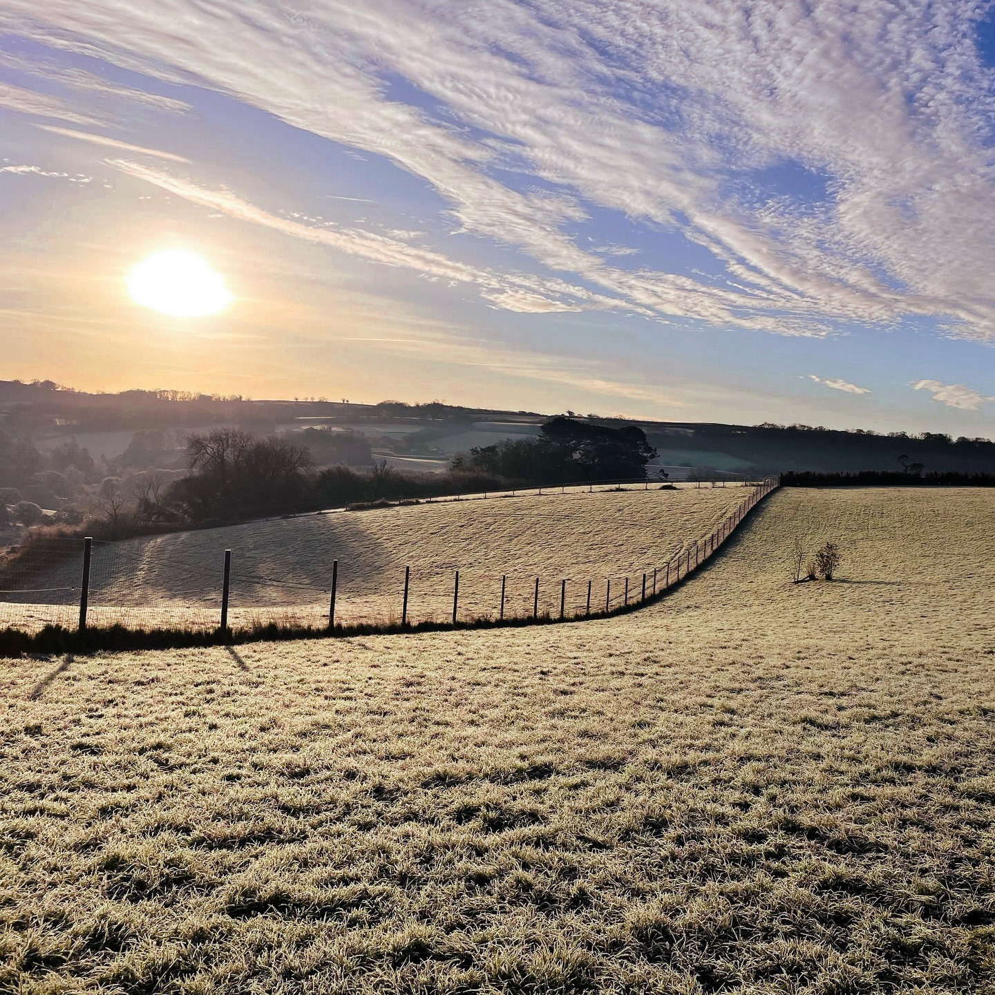 We’re going to need some thicker gloves for these winter mornings!
📸 Taken while prepping the fields at -2 yesterday!
#SecureDogWalking
#SecureDogWalkingFields
#SecureDogWalkingPark
#WanderlustWalkies
#SecureDogPark