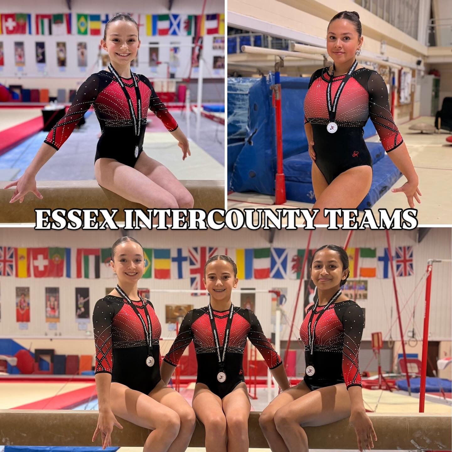 Well done girls at the Essex Bronze, Silver & FIG Intercounty Teams! ๐
Great team work and all came away with a medal at their last competition of the year! We are so proud of you all โจ
Bronze Team: 2nd ๐ฅ
Silver Team: 3rd ๐ฅ
FIG Team: 2nd ๐ฅ
Thank you coaches! @zaragallichan @caronnotton @bethrosenichols ๐