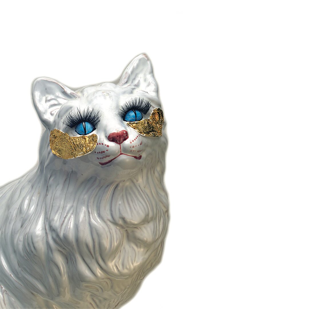 SKINCAT ππΎ
#morningroutine