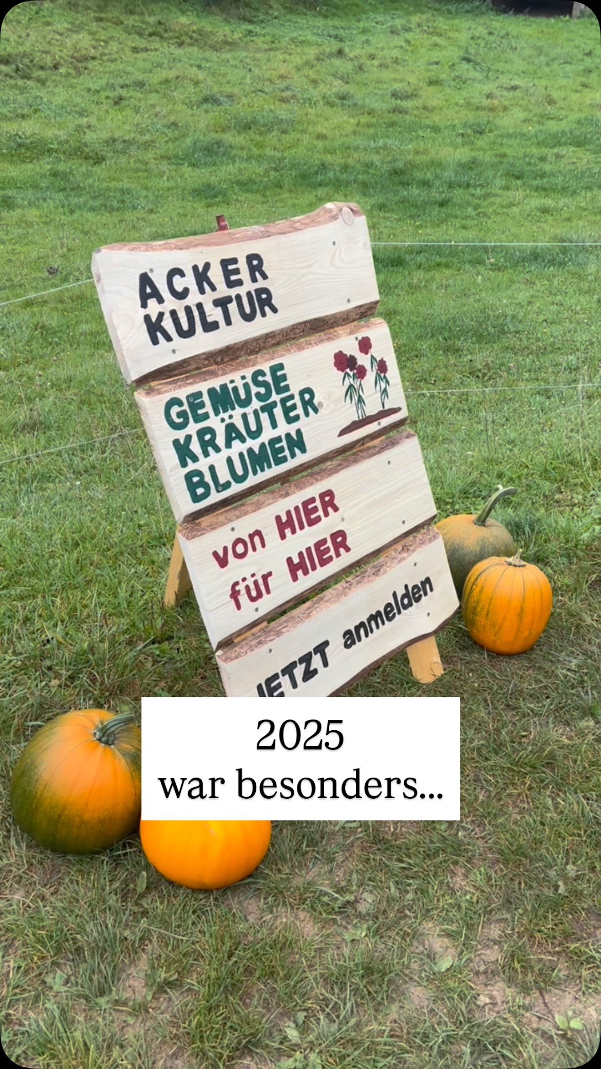 Die letzten Monaten waren herausfordernd, aber gleichzeitig auch so aufregend.
Ich kann die neue Saison kaum erwarten!
🥦🌽🥬🌶️🥒🫛🥕🧄🫚🧅🥔
Für die Abholstelle in Kaltenwestheim gibt es noch freie Aboplätze ✨
Alle Infos findest Du auf unserer Webseite 🤍
www.ackerkultur.bio
#Ackerkultur #waestemerackerkultur #biosphärenreservatrhön #regionalgenießen #biogemüse #gemüseabo #Frischesgemüse #rhön #gesundesessen #wissenwosherkommt #direktvombauern #vorfreude