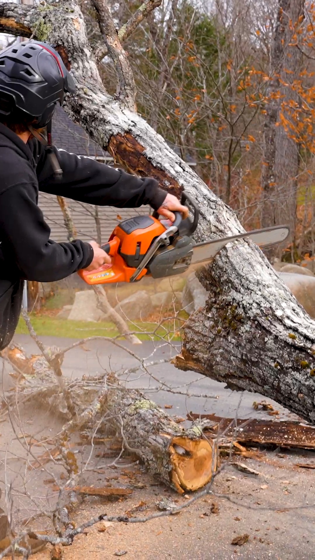 "This incredible group of young men are hardworking, ethical, take pride in their work, are respectful, efficient, reliable, friendly and, honest. They respect, enjoy, and care about each other and their work. This is my second hiring of Belanger Tree Care and I have been pleased both times. It's wonderful to have such a professional and personable resource in our community."
- just one of many similar reviews from the Maine residents we've been proud to serve.
.
.
.
.
#belangertreecare #arborist #arboristsofinstagram
#skowhegan #skowheganmaine #forestry #chainsaws
#centralmaine #mainebusiness #treecare
#treecarebusiness #treeclimbers #logging