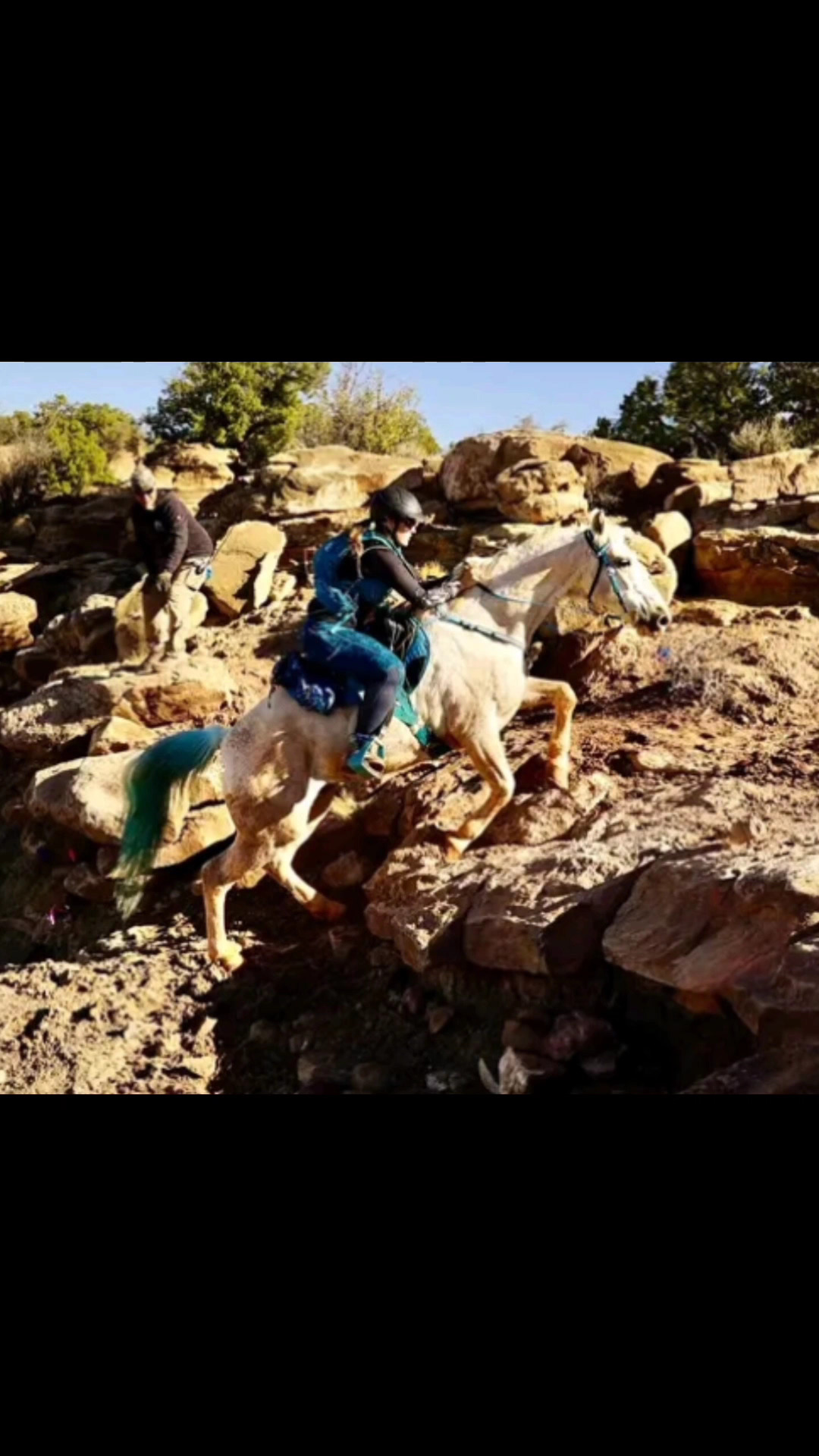 Come with me to bring Mo home from cancer treatment, and do our first AERC Endurance ride in 2.5 years! Feat @adventuristbarbie 💙
#enduranceriding #aerc #gaitedhorse #remission #travel #travelvlog