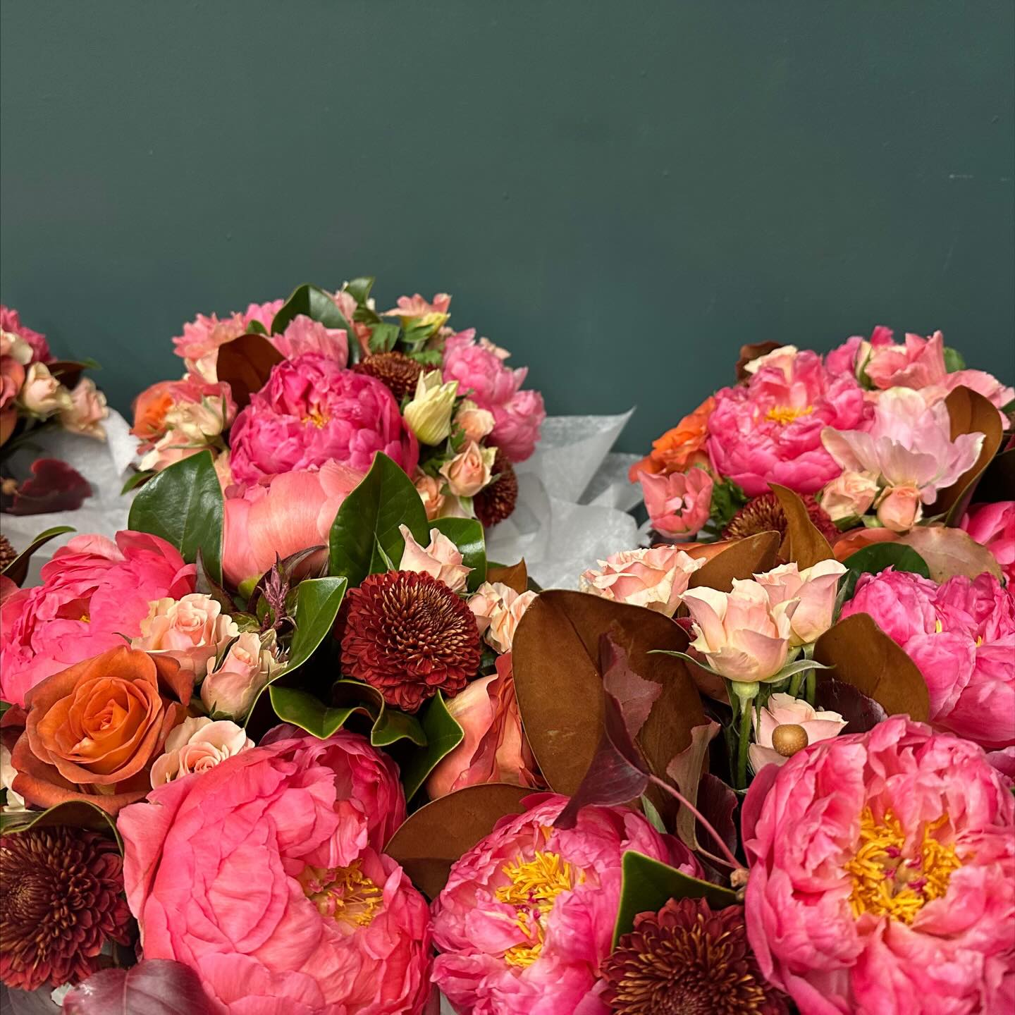 Close ups⌠Team pink or team orange ? #flowerpoweralways