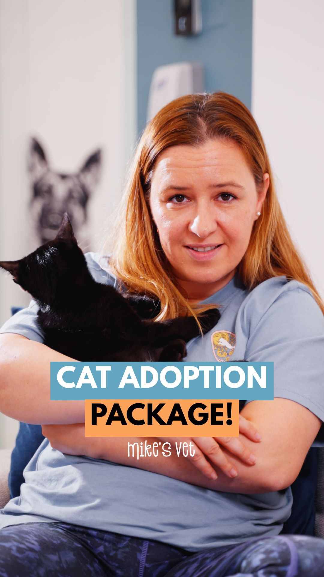 Are you ready to adopt your new cat? ☺️
Every cat and kitten we put up for adoption is fully vet-checked, healthy, vaccinated, and sterilized when age-appropriate. We also perform mycoplasma testing and a full CBC to ensure each cat is in excellent health.
Every cat deserves the chance to begin a happy, healthy life with their new family, so please be mindful when choosing from who/where to adopt your cat 🙏🏼
We’re happy to answer all your questions and find you the right match! 🐾 DM us 🩵