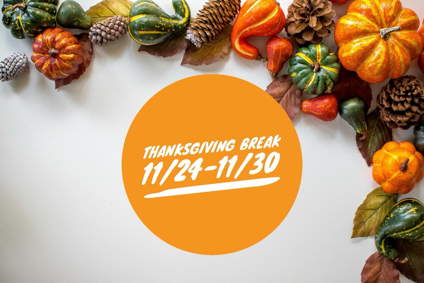 The studio is closed for Thanksgiving break! Have a wonderful holiday!