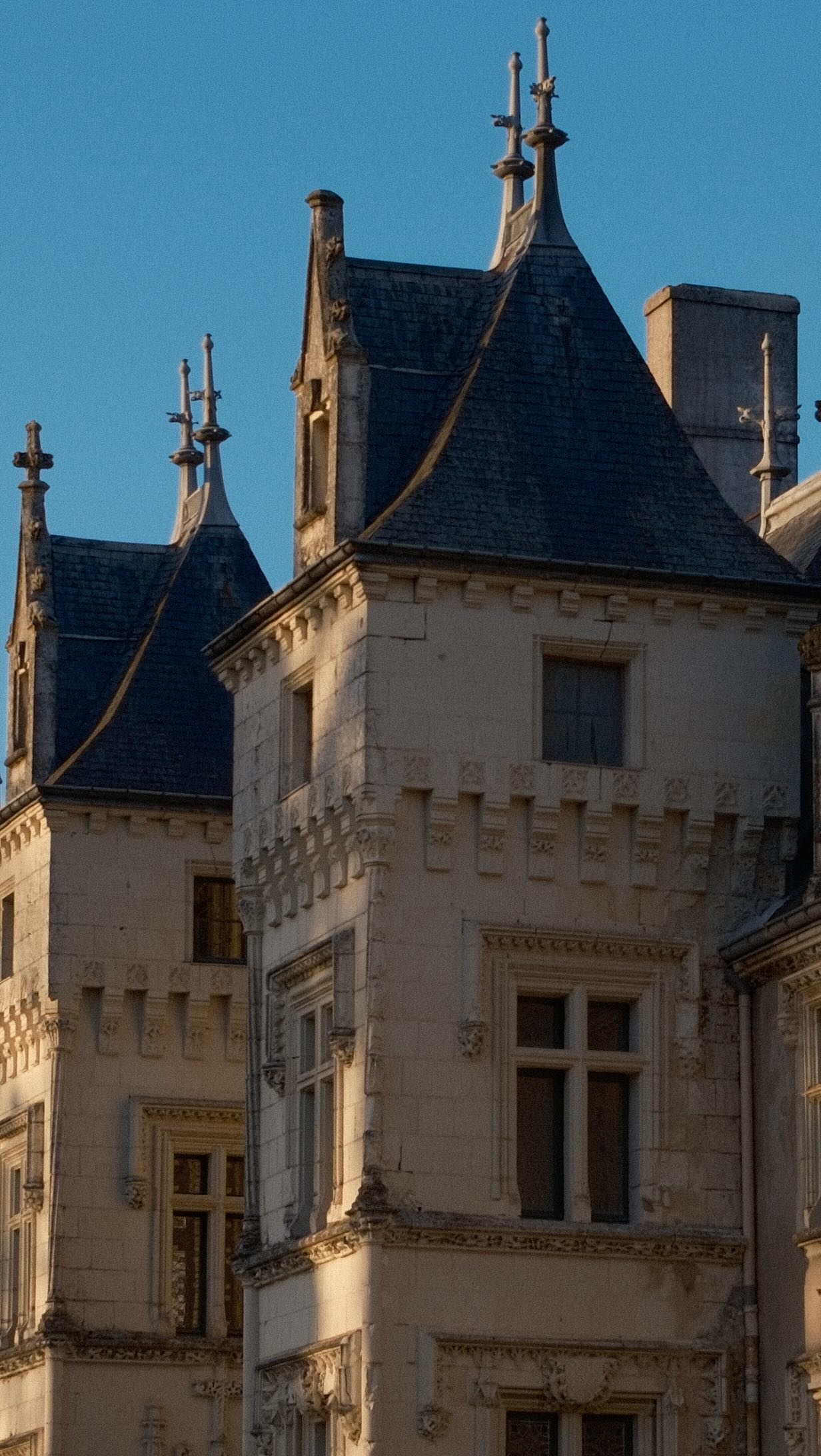 La vie de château, c’est quoi ?
C’est traverser des salons qui font la taille d’un appartement… juste pour passer l’aspirateur.
(Et oui, ça compte comme du sport 🫠🪞)
#VieDeChâteau #ChâteauLifestyle #CoulissesDeChâteau #ChâteauDeLaVillaumaire #VivreDansUnChâteau #Touraine #IndreEtLoire #Patrimoine37 #ChâteauxDeLaLoire #ReelsFrance #DailyReel #FrenchCountryHome #InspirationMaison #SlowLivingFrance #DécouvrirLaFrance