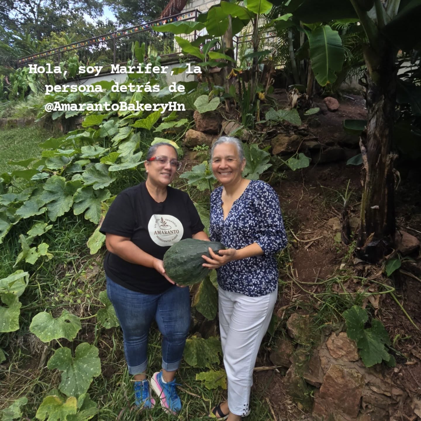 🌾✨ De la huerta a tu mesa… y por primera vez, yo también aquí 💛
Hola, soy Marifer, la persona detrás de Amaranto Bakery.
Hoy me animé a aparecer por primera vez porque quería compartirte algo realmente especial: esta temporada estamos preparando tamales navideños hechos con ayote/calabaza fresca, cultivados por una agricultora local que cuida cada fruto con un cariño inmenso.
De su tierra, a mis manos… y de mis manos directo a tu mesa. ✨
Nuestros tamales son:
🌽 Sin harina de maíz
🔥 Bajos en carbohidratos
🐷 Sin manteca de cerdo
✨ Igual de deliciosos, suaves y llenos de sabor
Y disponibles en tres opciones:
🍗 Pollo
🐖 Cerdo (sin manteca, solo carne magra)
🥕 Vegetarianos
Dato interesante:
Un tamal tradicional puede llegar a rondar hasta 4,000 calorías, mientras que nuestro tamal de ayote elaborado con ingredientes reales y sin manteca está alrededor de 450 calorías.
Una diferencia enorme sin renunciar al sabor ni a la tradición. 💛
🎄 Pedidos abiertos oficialmente
🗓️ Entregas el 19 de diciembre
📦 Producción limitada para asegurar frescura y calidad.
Gracias por acompañarme en este sueño. Mostrar mi rostro hoy es mi manera de decirte gracias por apoyar un emprendimiento local y permitir que Amaranto llegue a sus hogares esta Navidad. ✨
Pedidos por WhatsApp
📲 9202-9713
#AmarantoBakeryHN #TamalesNavideños #SinGlutenHonduras #HuertaALaMesa #BajosEnCarbohidratos #WomenOwnedBusiness #ComidaHonesta #NavidadHonduras #HechoConAmor #vegetarianoshonduras #veganoshonduras