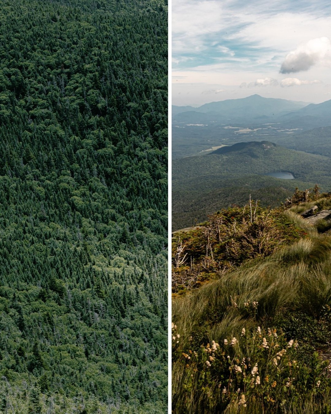 Right before the Thanksgiving chaos hits, I keep thinking back to one of my favorite weeks from this summer — a camping trip in the High Peaks of the Adirondacks with a dear friend. Warm sun, tired legs, the kind of laughter you only get when you’re miles into the woods and everything feels a little ridiculous and perfect.
Now I’m fully ready for snow, skis, and that deep-winter quiet… but I’m also already looking forward to the next backpacking extravaganza. There’s something about carrying everything you need on your back and chasing sunrise on a ridgeline that just resets everything.
Grateful for friends who will sleep in the dirt with me, for mountain air that fixes my brain, and for the promise of more adventures ahead.