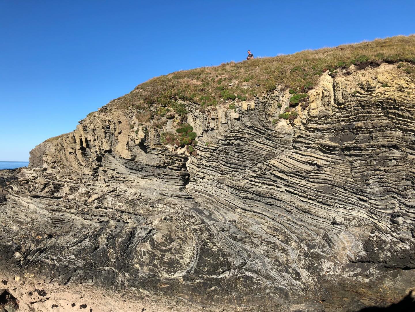 The structural geology and sedimentology along the coast at Godrevy is epic.
Here are some stunning folds in the cliffs just north of Godrevy Cove.
These structures have previously been interpreted as back folding associated with 2nd generation, northwards verging Variscan convergence. They were collectively part of what was coined the Godrevy Antiform.
Subsequent work has reinterpreted them as forming during the later 3rd phase of deformation, associated with regional extension after mountain building had ceased.
Their geometry and kinematics are incompatible with D2 and more akin to D3, and further down the beach you can see these structures crosscut D2 structures.
This lithostratigraphical unit is the Porthtowan Formation. It comprises interbedded mudstones and sandstones, and is variably folded, faulted, and cross-cut by quartz veins.
The unit formed in the Devonian, 370 million years ago, being deposited in an ocean setting on the flanks of a continental shelf, where it slopes down to the abyssal plain.
These rocks were subsequently buried and then deformed during Variscan mountain building in the Carboniferous, and then during subsequent extensional tectonic deformation in the Permian, all of which is described above.
#folding #structuralgeology #tectonic #tectonics #tectonicplates #godrevy #godrevybeach #godrevypoint #stivesbay #cornwall #cornwallcoast #cornishcoast #cornwallgeology #cornishgeology #lovecornwall #explorecornwall #walkingcornwall #geology #geologyrocks #geolife #geologist #geologistsofinstagram #learninggeology #geoadventure #exploregeology #geologicalwonders #radiocornwall #porthtowanformation #geologylife #geologyfieldtrip
