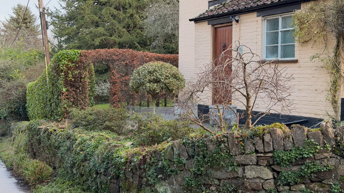 It was a pleasure working at this lovely little cottage today 🌿🏡
The customer wanted a good old tidy-up at the front of the property, so that’s exactly what we delivered! Snipped the roses back to encourage healthy new growth, shaped up the holly bush, cleared away fallen leaves, weeded the borders, and finished it all off with a thorough blow to make everything look super crisp and clean 🧽✨
Nothing better than giving a garden a fresh, tidy look for the winter season!
#GardeningLife #GardenMaintenance #GardenCare #Gardener #ProfessionalGardener #CottageGarden #BeforeAndAfter #GardenTidyUp #HedgeTrimming #Roses #HollyBush #LeafClearance #CleanAndTidy #OutdoorCare #GardenServices #UKGardener #FreshLook #AutumnGardening #SmallBusinessUK