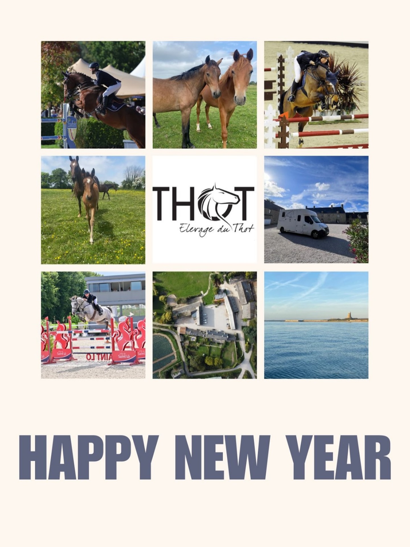 Une nouvelle année commence, remplie de projets, de rêves et de défis à relever 💪🏼
Nous tenions à remercier toutes les personnes qui nous accompagnent : notre équipe, nos propriétaires, partenaires, familles, amis et tous ceux qui croient en notre élevage et en nos chevaux 🙏🏼
Que cette nouvelle année soit synonyme de réussites, de belles émotions et de moments inoubliables ! 🏆
✨ Nous vous souhaitons une année pleine de santé, de bonheur et de victoires, humaines et sportives ✨