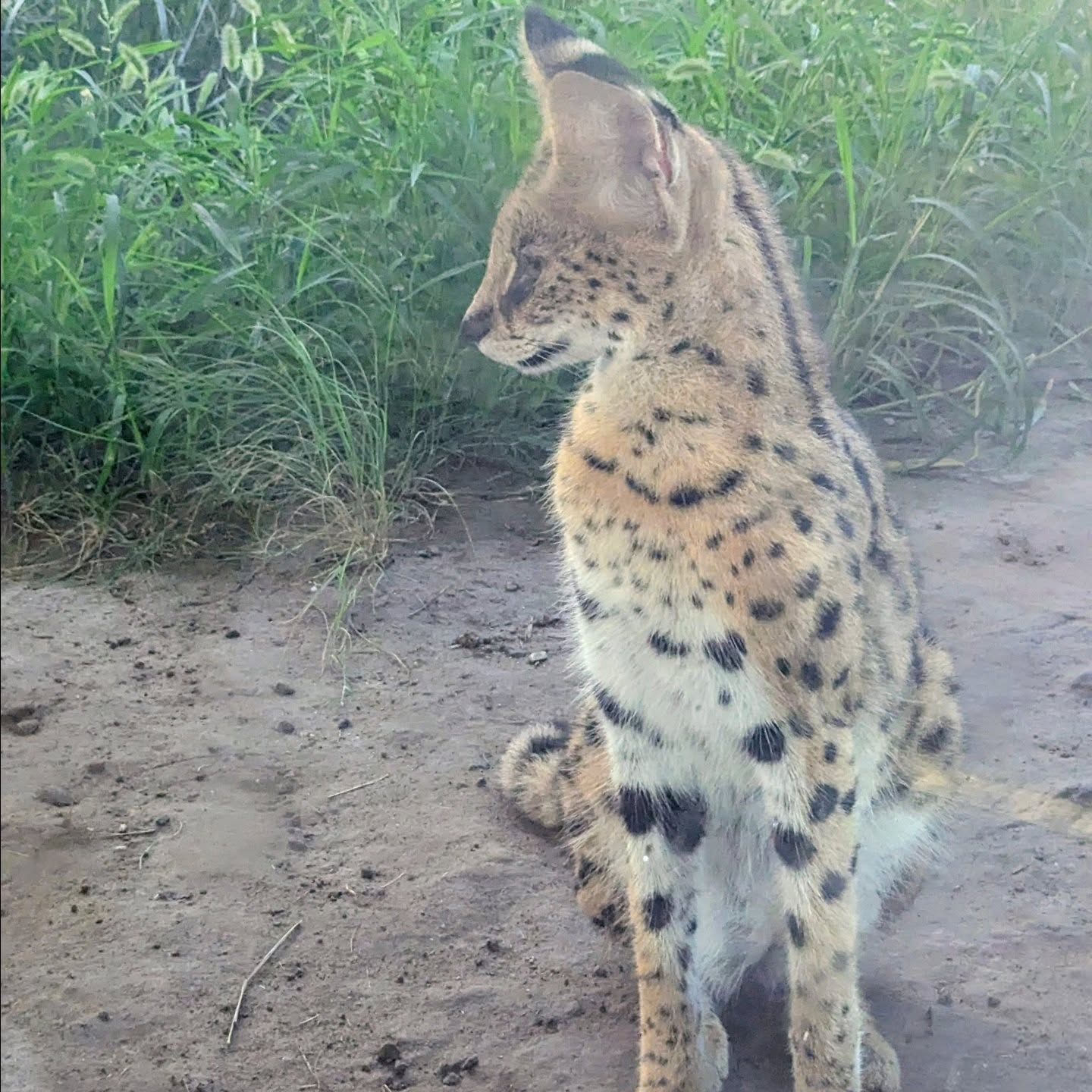 Beijing, China ❤️