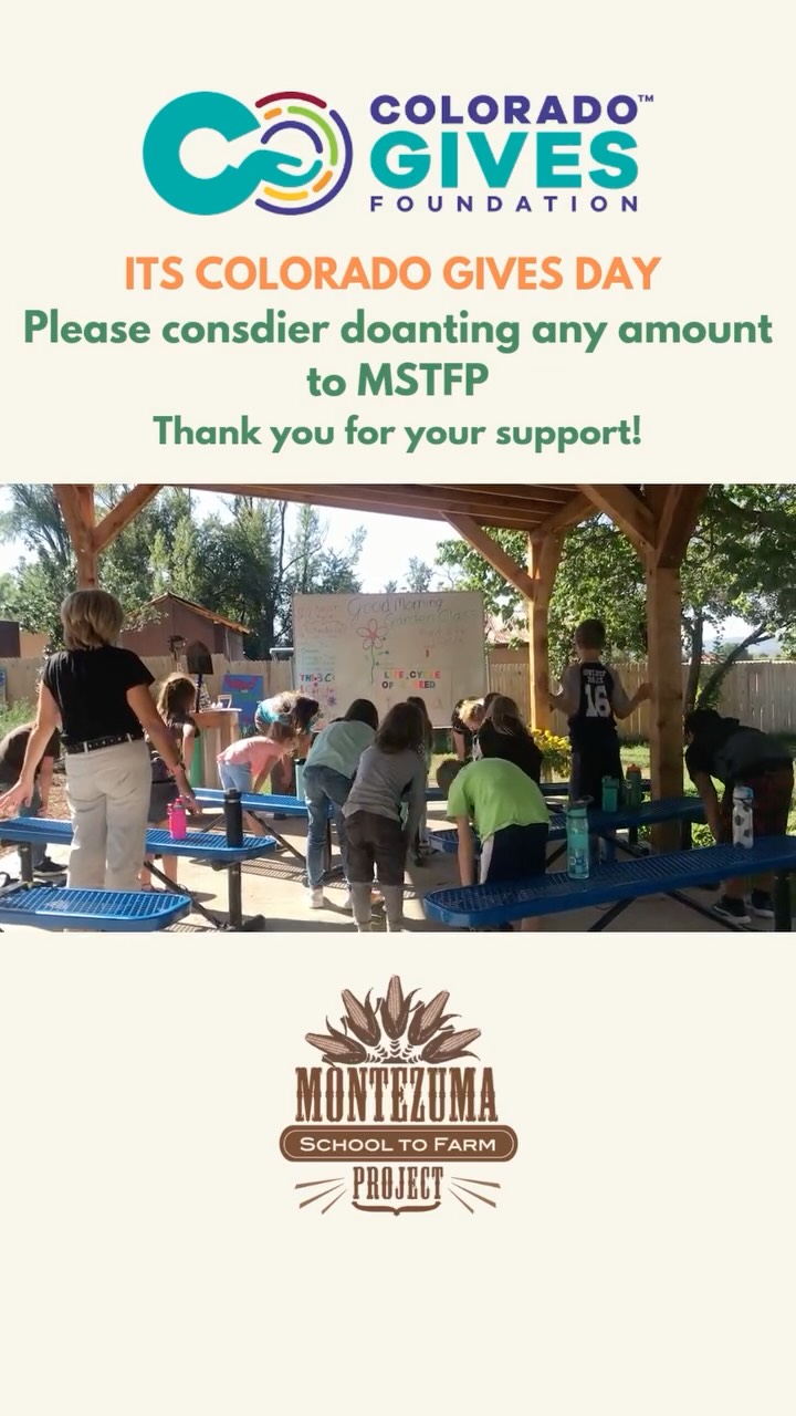 It’s Colorado Gives Day!
🌽🥬🌼🌻🌺🥦🫑🥑🌽
Please consider donating to MSTFP! All donations go directly to garden education and what’s more important than understanding where our food comes from?
#lettuceturnipthebeet #mstfp #schooltofarm #farmtoschool #thankyou #coloradogives #coloradogivesday #grateful #meetmeinmancos #montezumacounty #givewhereyoulive