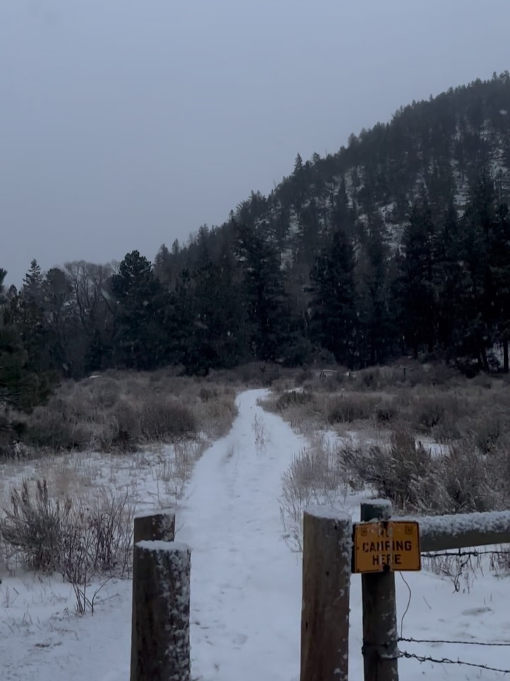 Oh by gosh by golly! This snowscape took our breath away both literally and figuratively! The snow was pretty deep in some spots but seeing the snow fall the entire hike was pretty spectacular!
Time: 3:25
Distance: ~8 miles (12.87km)
Trail: Dadd Gulch
#climbershaul #winterwonderland #hiking #winter #colorado #outdoors #nature #smallbusiness