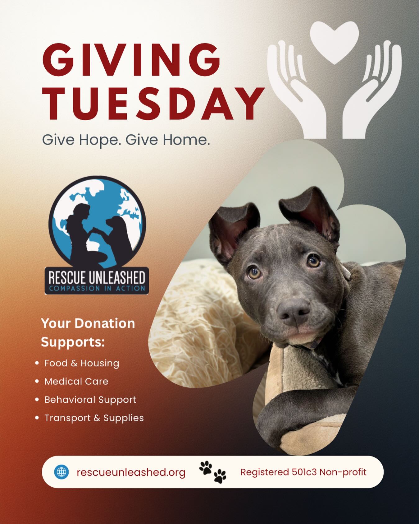 Today is ♥️🌟 Giving Tuesday 🌟 ♥️
Please consider a donation to Rescue Unleashed
Give Hope. Give Home.
🐾
Your donation provides life-changing support for dogs in need:
• 🍲 Food & Housing – nourishing meals and safe shelter
• 🩺 Medical Care – vital treatments and healing support
• 💙 Behavioral Support – training and guidance to help dogs thrive
• 🚐 Transport & Supplies – ensuring rescues reach safety and comfort
✨ Every gift brings us closer to finding loving homes for every dog.
#givingtuesday #supportrescue #giveadogahome #seattle #puppies #dogs #kittens #rescuefosteradopt #nonprofit #dogrescue