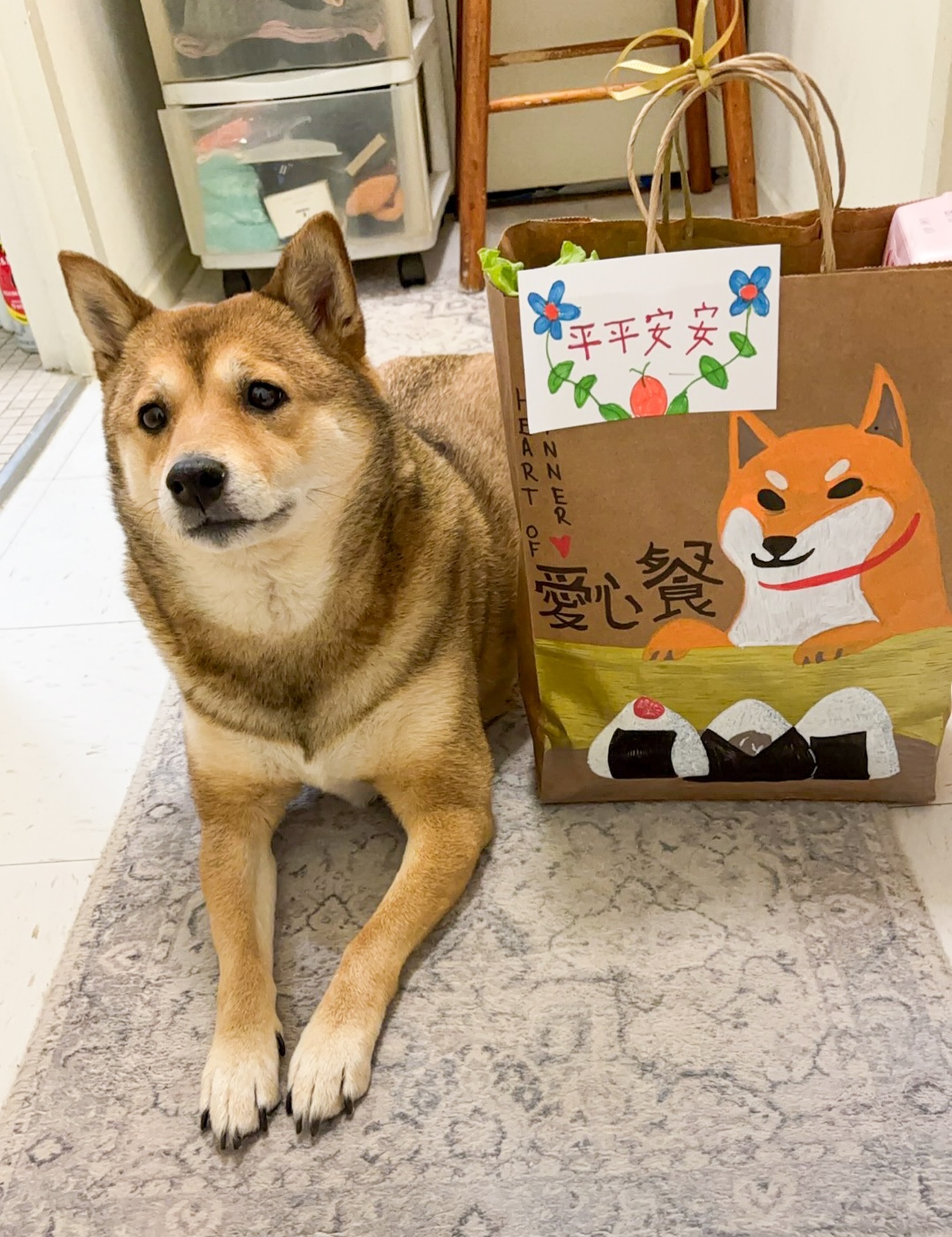 One of our beloved Elders in Harlem shared this photo because she was SO happy to be greeted at her door by a hand-illustrated Shiba Inu with her Heart of Dinner care package delivery. And her pup Aiko happily approved with two paws up 🐾😆
So much gratitude to our volunteers, team, donors, and partners who see our mission so fully and pour their time and care into every detail. These moments of absolute joy as part of our nourishment are only possible because of you ❤️