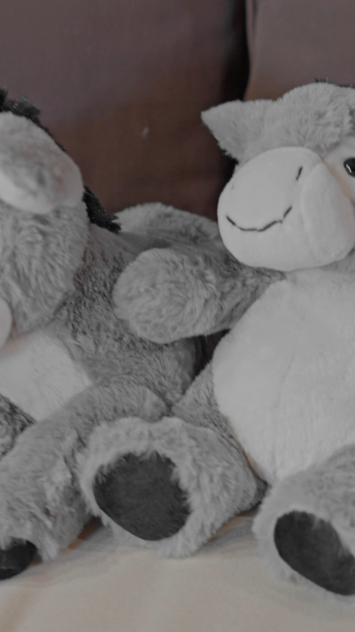 Douceur, tendresse et réconfort avec la peluche "L'âne" 🫏
Un compagnon idéal pour petits et grands, toujours prêt à partager vos moments.
À câliner sans modération !
👉https://www.lecomptoirdesauthentics.com/product-page/peluche-ane-eddy-20-cm
👉https://www.lecomptoirdesauthentics.com/product-page/peluche-ane-carly-35-cm
#peluche #doudou #cadeau #madeinfrance #noel #fetedenoel