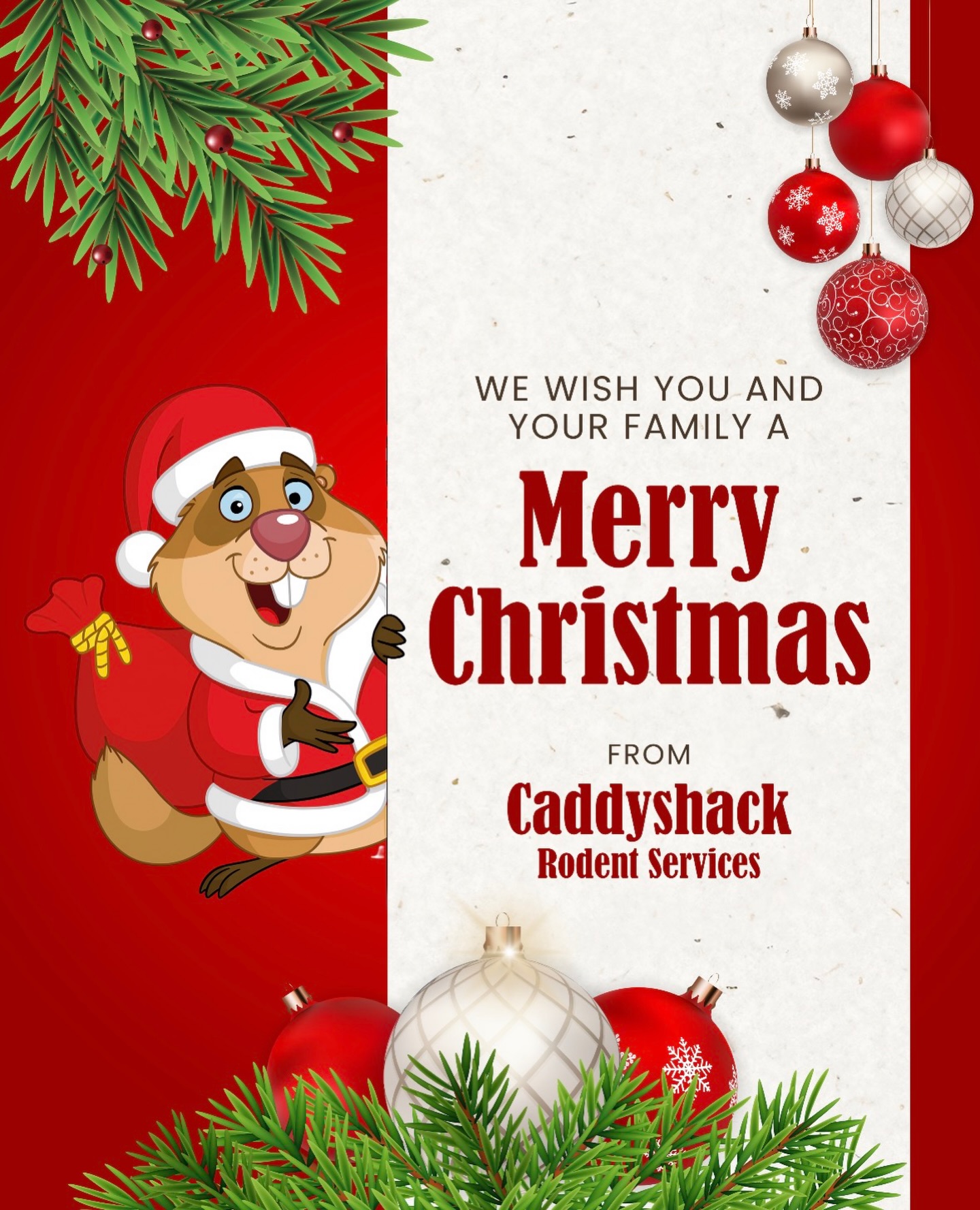 Keeping your holidays rodent-free ๐๐พ Wishing you and your family a Merry Christmas!