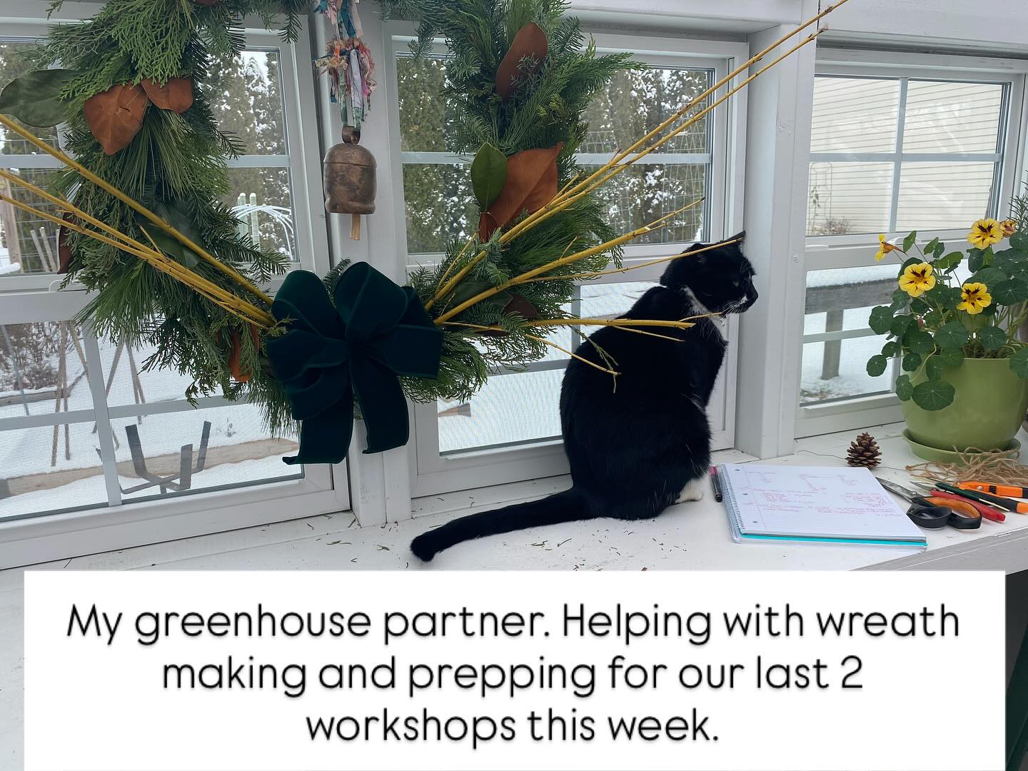 Our afternoon… I miss the soil too little one.