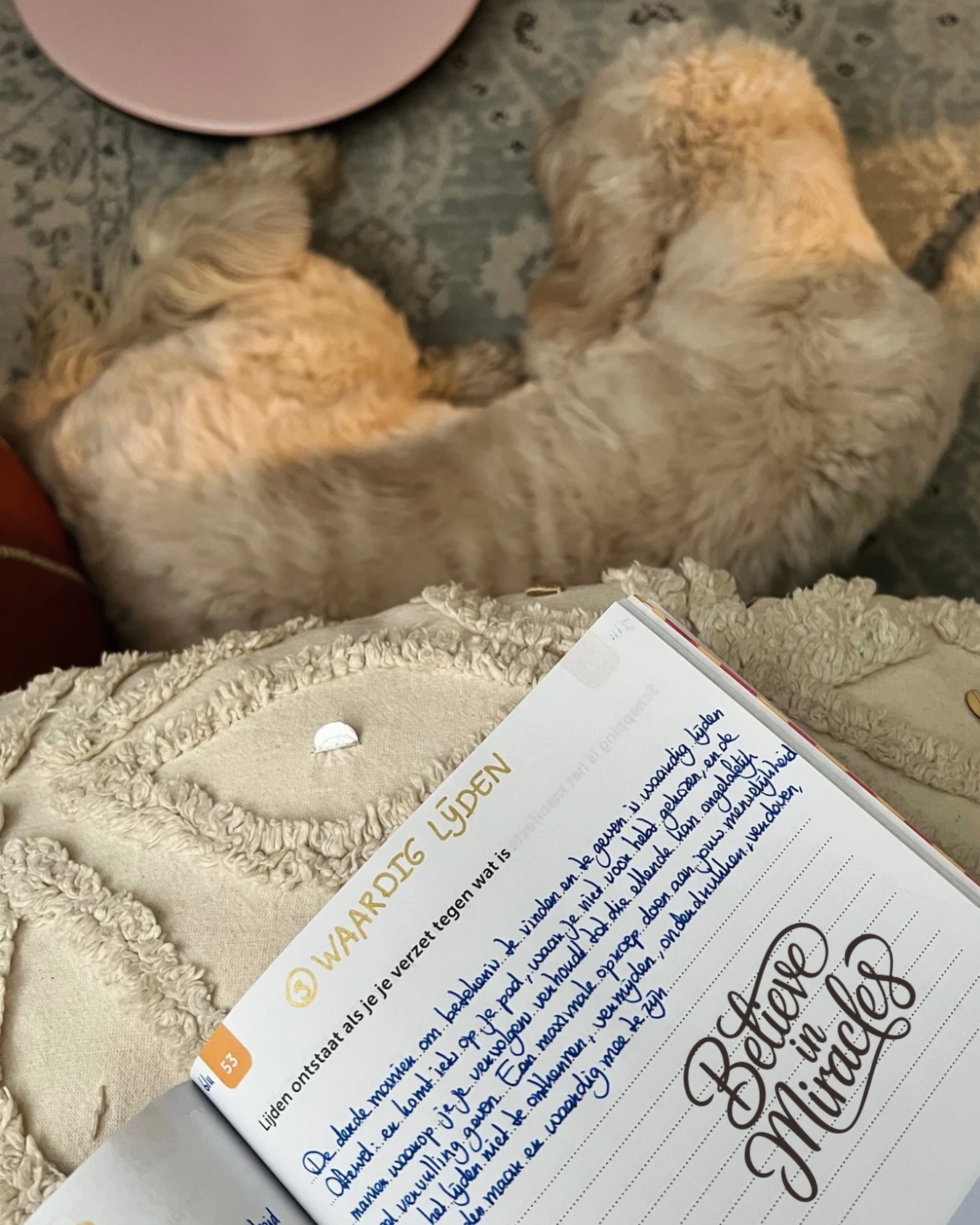 Dit is geen waardig lijden, maar waardig liggen 😂
Warme voeten terwijl ik de 100 lessen van Miracle Roadmap van @365dagensuccesvol aan het uitwerken ben 🐶 En niet alleen warme voeten, maar ook een warm hart 💖
Want wat een feestje is dit! Nieuwe inzichten, onvergetelijke ontmoetingen, diepgaande processen. In mijzelf en in de cirkel waar ik deel van uitmaak. Alles komt hier samen. Letterlijk en figuurlijk 🙏🏻
Heel dankbaar dat dit op mijn pad gekomen is. En voor de wonderen die het brengt 💫
Ik overweeg nog een rondje in februari… Zal ik?
#bewustwording #drijfveren #intentie