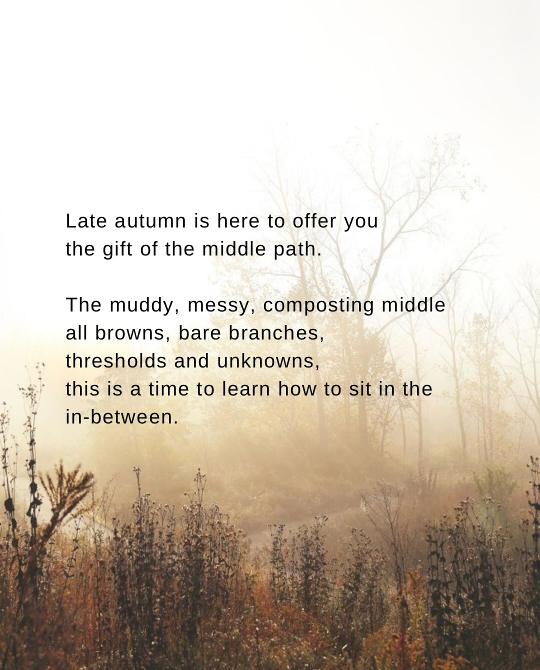 I am tired.
Everyone is tired…
Feeling a bit broken? Yeah… me too.
Maybe it’s the season, maybe it’s the stars,
maybe it’s just being human right now.
This time of year is messy, mud-on-your-boots, mind-in-ten-places, heart-open messy.
And if you don’t know whether you’re meant to be
crafting Christmas gifts, shopping small, manifesting your greatest year yet,
letting go, calling in, journaling,
or making your kid’s elf outfit for the school play…
this is for you.
November brings an awkward pace, urgency and endings on one side, a whisper to rest on the other. AND everything feels stretched thin.
Before winter’s deep rest comes a shedding and shedding is messy right?!
So here we are:
late autumn, offering up the messy middle path.
The place no one talks about.
The muddy, composting middle
browns and bare branches,
thresholds and unknowns,
A season not quite here,
And one not really gone.
This liminal space is uncomfortable. Thresholds always are.
But this is where the real work happens, the softening, the unclenching…
the letting things fall away as we slowly return to ourselves.
It’s a juggle but it can also just happen if you let it.
I’m trying to take my cues from autumn:
trusting that what falls becomes nourishment,
trusting the composting process
even when nothing feels like it’s changing.
Because underneath, I know@everything is quietly rearranging, rooting, preparing itself. Preparing me.
Between holding on and letting go
there is always the middle path and while the middle is messy, it’s where we breathe, where we meet ourselves honestly, where we make space to rest,
to dream,
to begin again (in time).
Walk slowly with me through these last days of November…
into candlelight,
into the dark nights,
into the blankets that hold you.
Soften here.
Let your breath dismantle the beliefs you’ve been carrying too tightly. It’s time to lighten your load.
Love your magical, magnificent mess, tend to it and let yourself rest when you need.
Give this a share and let me know how you’re doing. It’s pretty tough out here on the middle path.
Ali xx
.
.
.
#slowdown #seasonalliving #writersofig
Heal / spiritual journey / nature is healing / selfcare