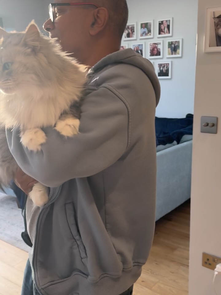 Groovin’ with Dada and showing the kitties the snow #siberiancatsofinstagram #dancingcats 😸💃🏻🕺