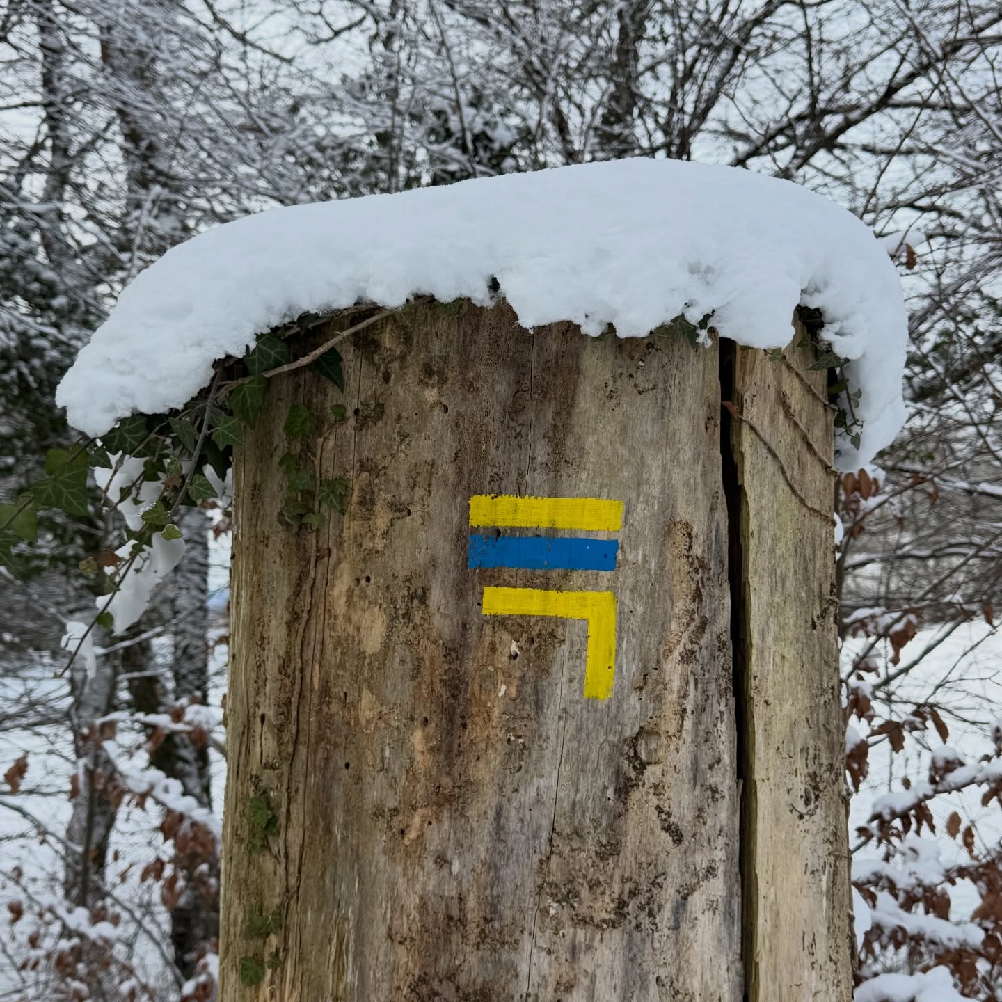 ❄️ Réveil en douceur après une nuit polaire où le thermomètre est descendu jusqu’à -10,7°… mais quel spectacle offert par les paysages givrées du @pnrdoubshorloger 🤩❄️
Il y a des moments où l’on se sent tout petit face à l’immensité d’un monde endormi, et pourtant si vivant.
#naturesouslaneige #paysagesendormis #doubstourisme #vivrelinstantpresent #montagnesdujura