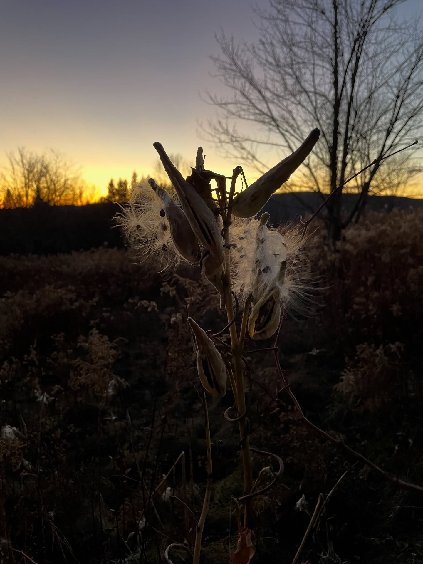 Your darkness holds your light. And when they both have space to be- ahhh-the wonder!