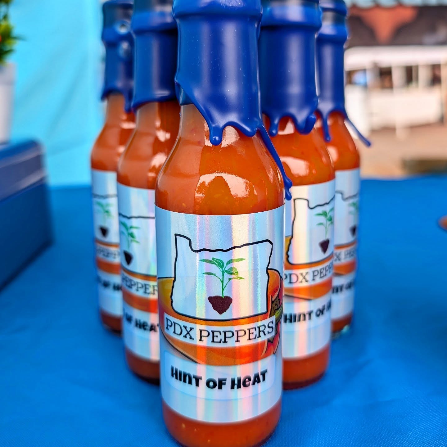 For those that think even our mildest sauce is too hot! Limited release of a near heatless version of our most popular sauce - Bottle A Day. Fermented for ~30 days, this sauce is all flavor with just a dash of heat. Great way to add flavor to any dish!
•
•
•
#PepperBusiness #HotSauce #FermentedHotSauce #HintOfHeat #PortlandOregon #StJohnsFarmersMarket #PDXPeppers #ChiliPeppers #SpicySauce #ThePepperNursery #ArtisanHotSauce #FreshLocalPeppers #PortlandPeppers #PDXFoodies #PDXFarmersMarket #FarmToBottle #PepperFarm #FermentedPeppers #SpicyFoodLovers #PDXart #LocalHotSauce #PepperGrower #PortlandFarmersMarket #ChiliHeads #FarmersMarketFinds #PDXSpicy