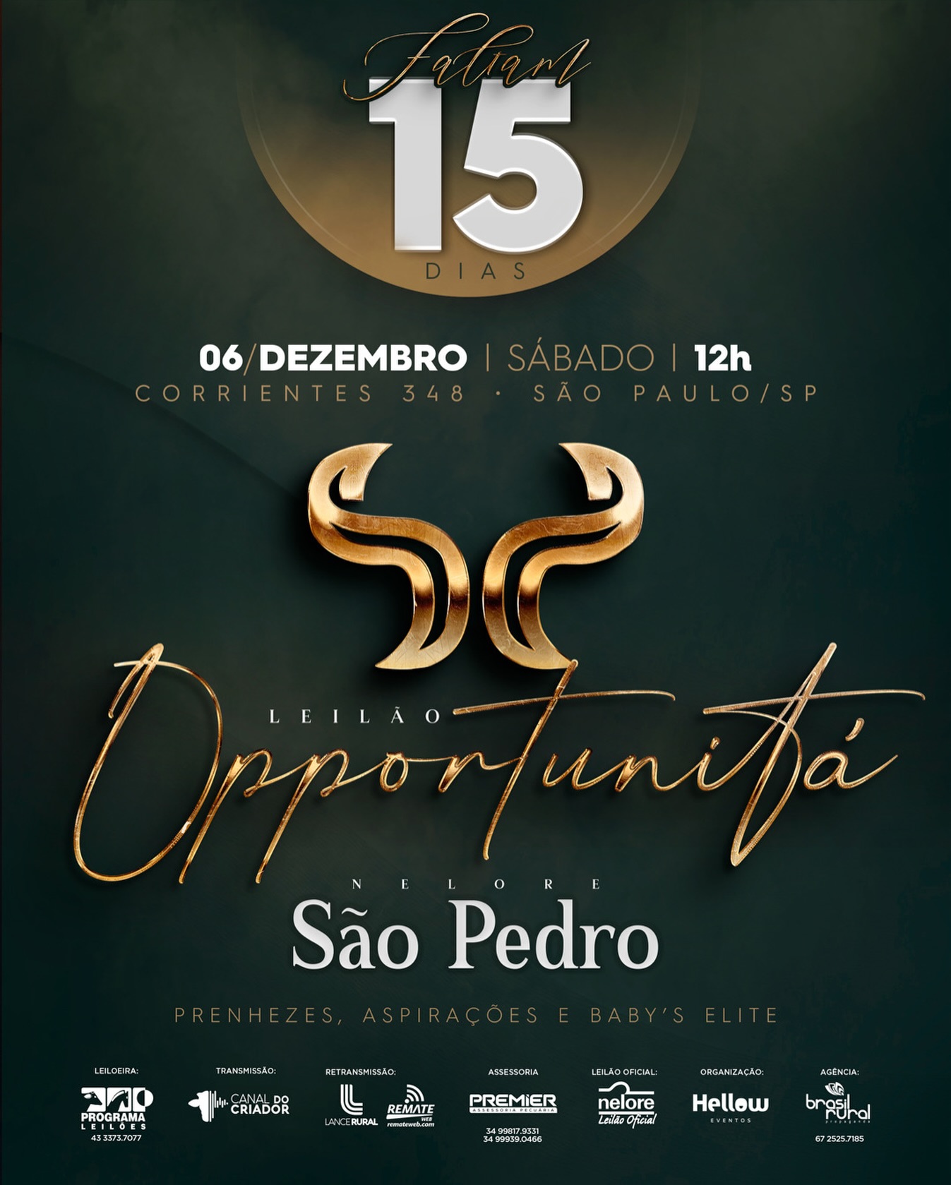 Prepare-se, daqui 15 dias um Leilão que fará história, o Opportunitá é a grande chance de ter as melhores genéticas do Nelore #pecuarista #fiv #leilão #nelore #nelorebrasil