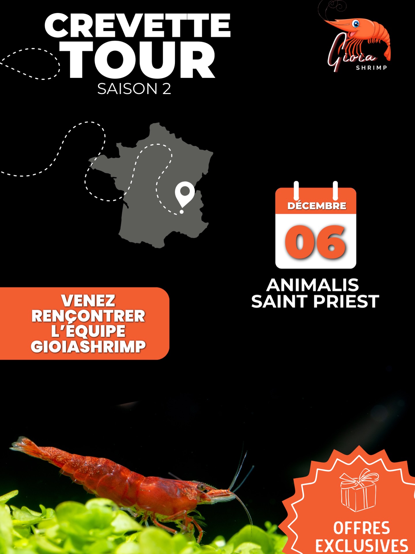 🚨 CREVETTE TOUR – SAISON 2 🚨
📍 Prochaine étape : Animalis Saint Priest
📅 Samedi 6 Décembre 2025
👉 Venez rencontrer l’équipe GioiaShrimp et découvrir nos produits, nos crevettes, nos conseils passionnés et… des OFFRES EXCLUSIVES rien que pour vous 🦐✨
On vous attend nombreux pour partager notre passion et échanger autour de l’aquariophilie 🌿🐠
#crevettetour #gioiashrimp #aquariophilie #shrimplover #crevettesaquarium #aquascaping #nanoaquarium #caridina #neocaridina #crevette #aquariumdesign #aquariumlife #aquariophile #aquariumhobby #shrimpkeeping #shrimpaddict #shrimpfarm #shrimpobsessed #plantedaquarium #aquariumcommunity #fishaquarium #aquariumlovers #frenchbrand #shrimpmania #aquariumfrance