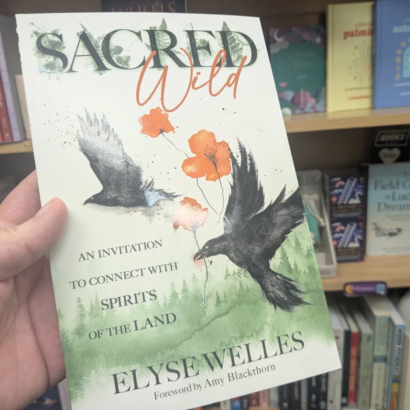 Shopping and thrifting books in Rehoboth Beach. Found something special out in the wilderness of a local bookstore! @seekingnumina