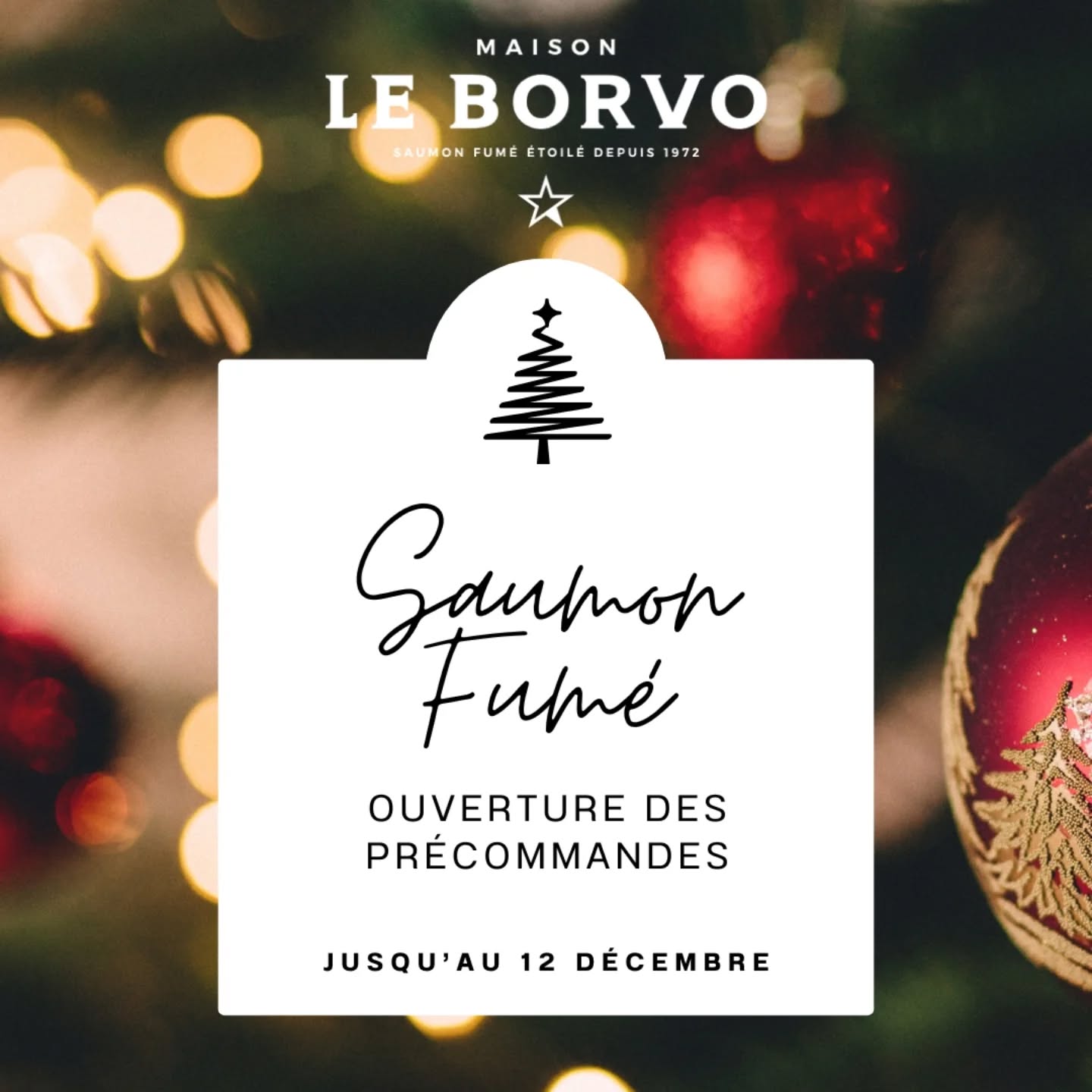 | Saumon Fumé |
Le Saumon Fumé Le Borvo fait son grand retour ! Votre allié festif pour vos repas de Noël ou de Réveillon 🍾
C’est parti pour les précommandes !
Comment ça marche ?
- Vous commandez avant le 12 décembre 📝
Les bons de commande sont disponibles en boutique
- Vous êtes livrés en boutique autour du 18 Décembre
- Plus qu’à déguster ! ✨️🎄
Saumon Fumé origine Écosse ou Norvège, sous différents formats (de 200g jusqu’à 1,5 kg) et sous toutes les formes (en dés, plaque traiteur, tranché, cœur de filet). Il y en a pour tous les goûts !
💡 La particularité du saumon écossais est la texture de sa chair, plus ferme. Le saumon norvégien quant à lui a une texture plus fondante car il est légèrement plus gras.