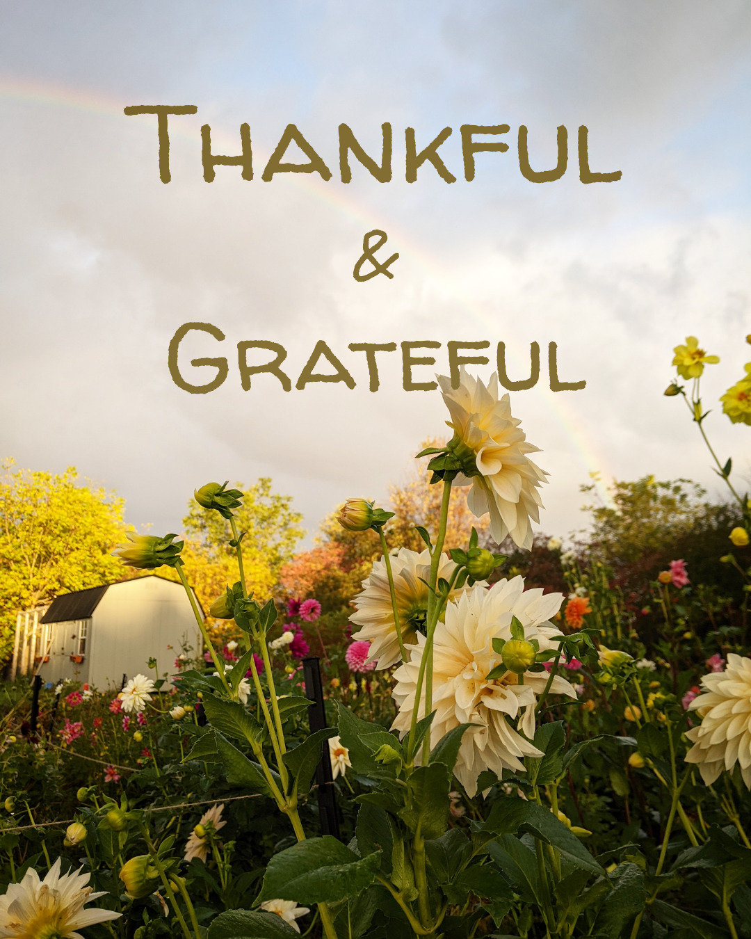 Happy belated Thanksgiving, friends! I've been quiet on social media this year, as I soak in the precious and fleeting moments with my young family. As my wedding and growing season have come to an end, I am reflecting on the joy and privilege that comes with owning a small business, and of course, how that would not be possible without the support of my friends, family, vendors, and clients. As I reflect on this year, I want to express my gratitude:
I am grateful for my parents for instilling such a profound love for all things beautiful, and especially all-things flowers.
I am grateful that starting a business was possible for me (as I just celebrated 3 years of being in business this past October).
I am grateful for my ever-supportive husband, Matt, who supported my dream of opening a business from the very moment I ever mentioned it. He (without prompting) got me all the Floret books, design books, business administration books, and has taken time off work to support me when I am in the thick of design work. He has even helped set up a few weddings! He is also ever-so patience while boxes of tubers or seeds, vessels or candles sit in inconvenient places around our home, sometimes for weeks on end!
I am grateful for friends and in-laws who have helped with our children while I work. I am equally grateful that my children love flowers as much as I do, and are eager to help with various tasks. My eldest daughter has even said she plans to be a floral designer one day!
I am grateful for vendors and clients who have sent so many referrals to me!
Lastly, I am immensely grateful for my clients: Without you, there would be no business. You put your faith and trust in me to beautify one of the most important days of your life. Each and every client I have ever worked with has impacted me in a special way.
I truly love what I do. Every day, I am grateful beyond measure that I get to be home with my daughters, and pursue a creative and meaningful occupation. I am grateful to be living out my dream.
Thank you, thank you, THANK YOU!🙏❤️