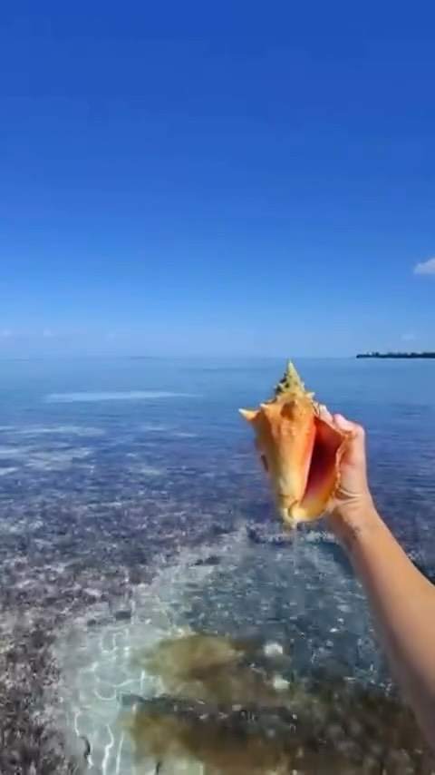 Our version of touching grass 🩵
Happy Sunday from Hope Town Canvas! Take some time and go outside 🌞