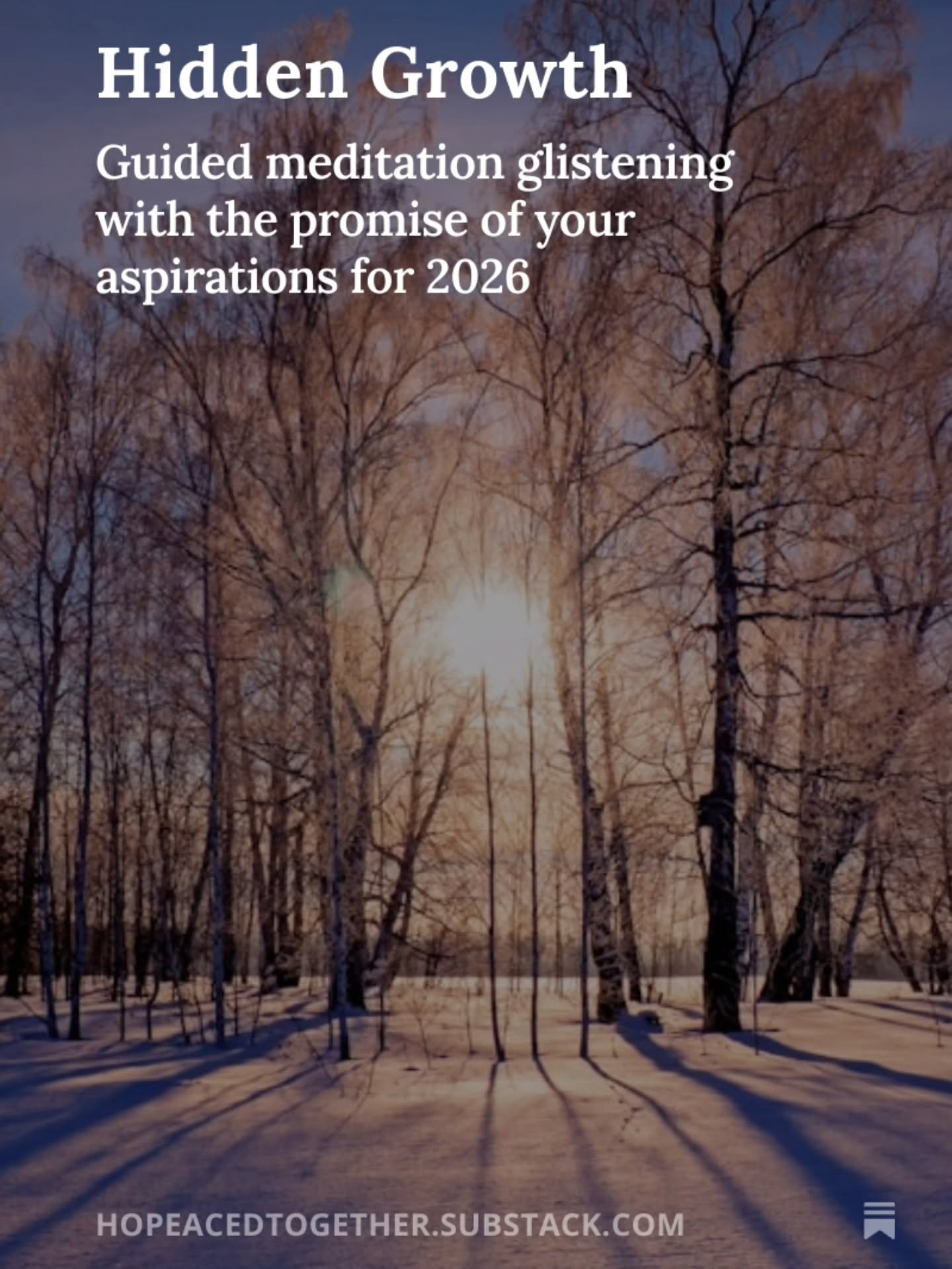 "After we release the weight of the past, we welcome the opportunity to prepare for our growth in the year ahead. Winter is a time of hidden growth."
#mentalhealth #goals #reflection