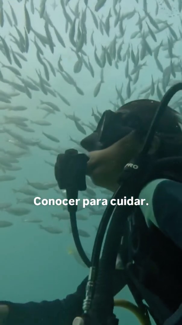 Hoy celebramos el Día de la Conservación recordando algo que vemos todos los días en el mar: cuando las personas conocen, se enamoran… y cuando se enamoran, protegen. 🔄✨
Cada vez hay más personas interesadas en cuidar los océanos, respetar la vida marina y elegir experiencias responsables. Eso también es una forma de conservar.
Desde Proyecto Cetáceo seguimos creyendo que la educación cambia realidades, una experiencia a la vez. ¿Tú cómo contribuyes a cuidar el mar? 🤝🏼
— ENG —
Today we celebrate Conservation Day by remembering something we see every day at sea: when people learn about something, they fall in love with it... and when they fall in love with something, they protect it. 🔄✨
More and more people are interested in caring for the oceans, respecting marine life, and choosing responsible experiences. That is also a form of conservation.
At Proyecto Cetáceo, we continue to believe that education changes realities, one experience at a time. How do you contribute to caring for the sea? 🤝🏼
-
-
-
-
-
ballenas jorobadas, avistamiento responsable, los cabos, baja california sur, temporada de ballenas, vida marina, conservación oceánica, proyecto cetáceo, cantos de ballena, breaching, aletas de ballena, naturaleza salvaje, encuentros marinos, migración, océano pacífico, avistamiento de ballenas, los cabos ballenas, los cabos 2026