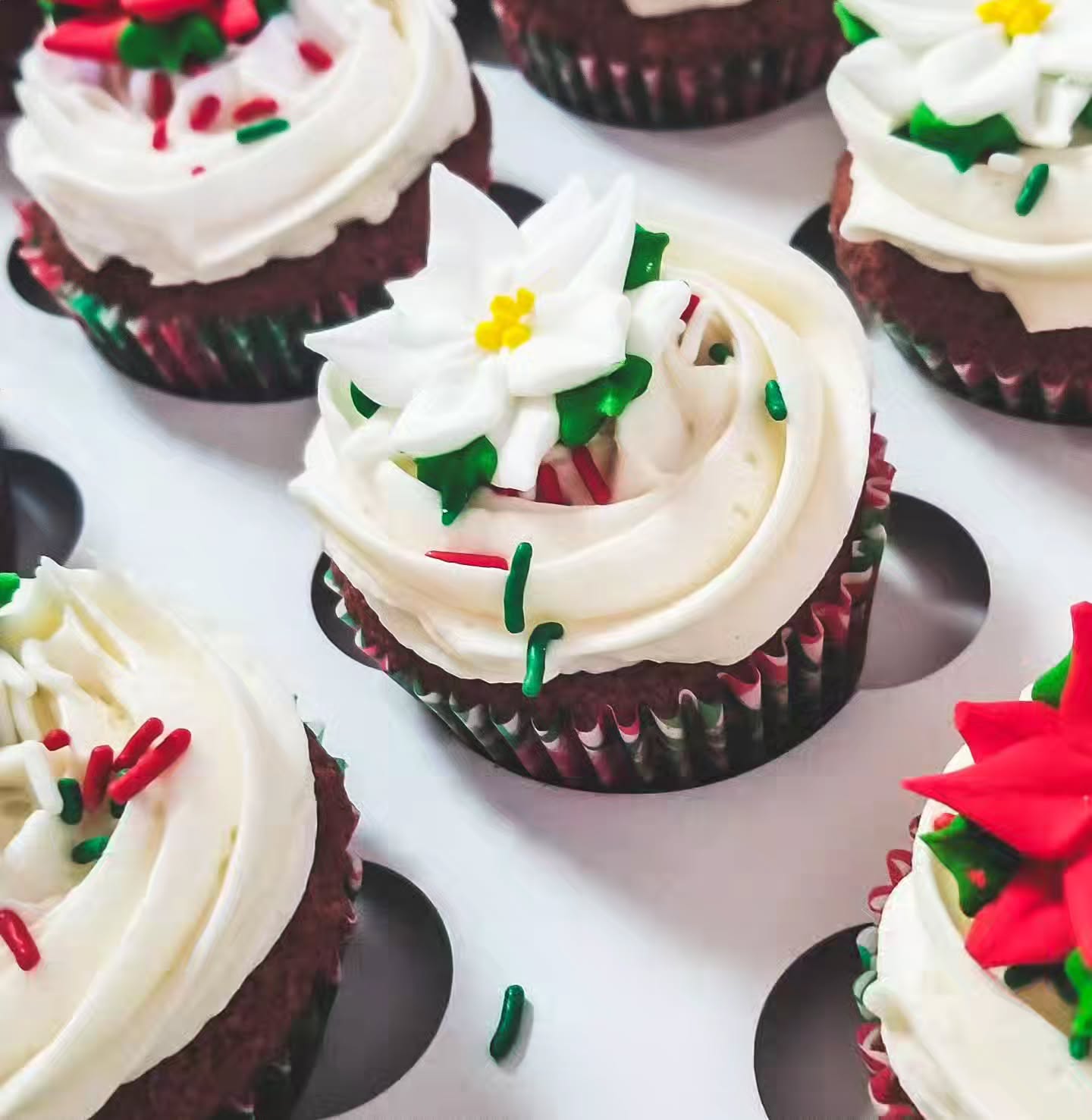 Someone is going to be a hit at their company party. Are you going to be next? Just when you thought we only did cake pops and cookies, cupcakes for the win. Cupcakes with a royal icing poinsettias. So pretty
.
.
#cupcakes #christmascupcakes #officeparty #christmasdessert #holidaytreats