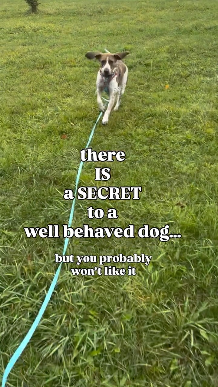 Well its not really a secret…
Just like us, dogs are learning all day every day. Learning what behaviors have good consequences and what behaviors have bad consequences. Dogs will RARELY do something that doesn’t lead to a good outcome for them.
The problem is this doesn’t always line up to OUR version of “good” and “bad”.
You left food on the counter, your dog wanted the food, jumping up on the counter got them food! Now they always jump on the counter to check for food.
You can push them off, but if there is food there and they got it, they already rewarded themselves. The pushing didn’t “prevent” the behavior. Now if you never leave food on the counter and your dog jumps up and gets NOTHING. The jumping up behavior will decrease because there is no reason to.
You take your dog on a walk as a puppy. They are little and excited and pull you to every person and dog. Its cute though! They just wanna say hi! Fast forward 1 year later…that 65lb dog pulling you towards every person and dog isn’t so cute anymore. But you taught them pulling through the leash got them what they wanted. Now you have to work backwards.
We need to be very intentional about what our dog learns “works” or doesn’t “work”
•
•
•
#puppy #doglovers #dogtraining #secret #tips